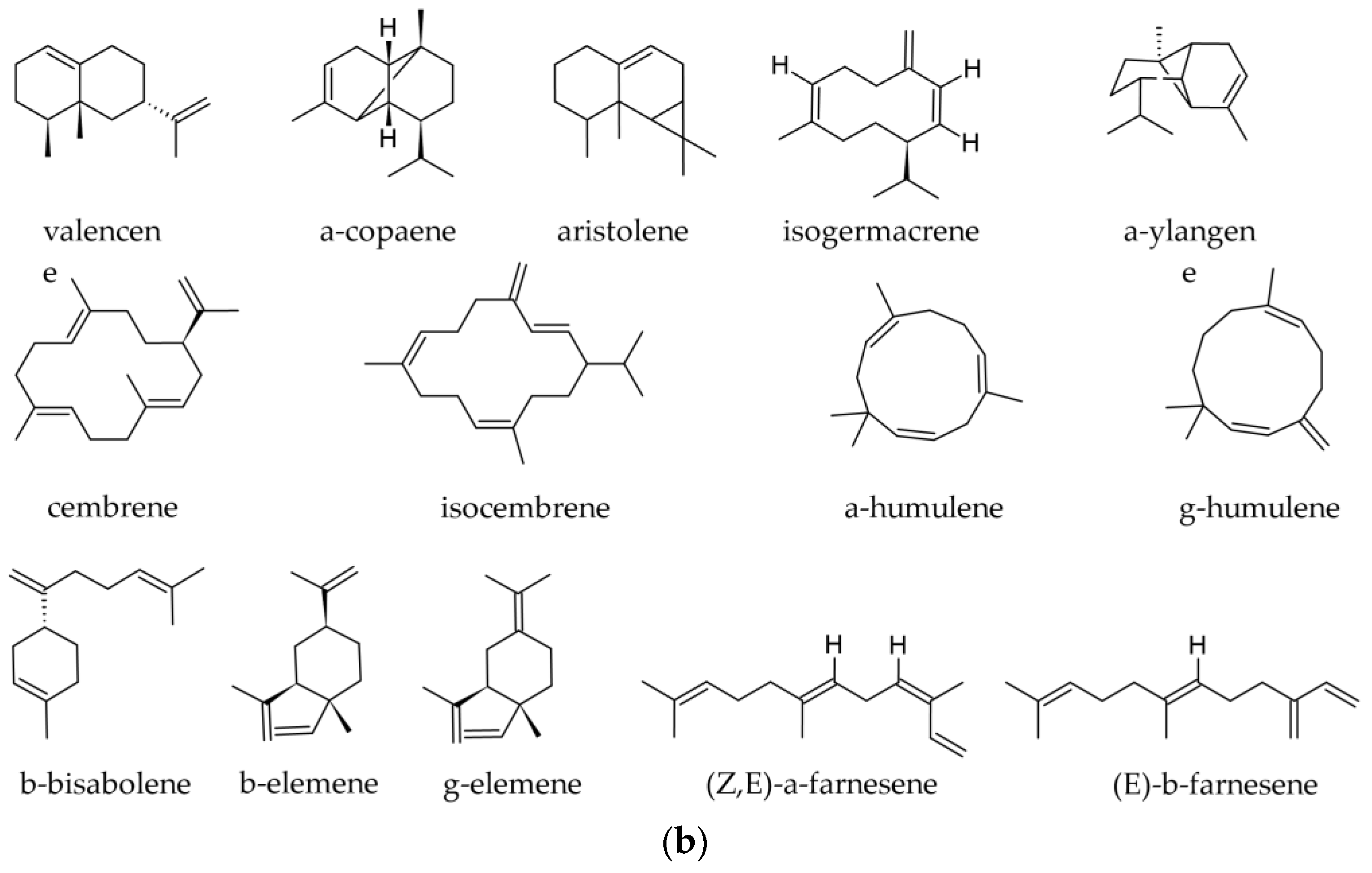 Plants 12 02860 g005b Plants 12 02860 g005b