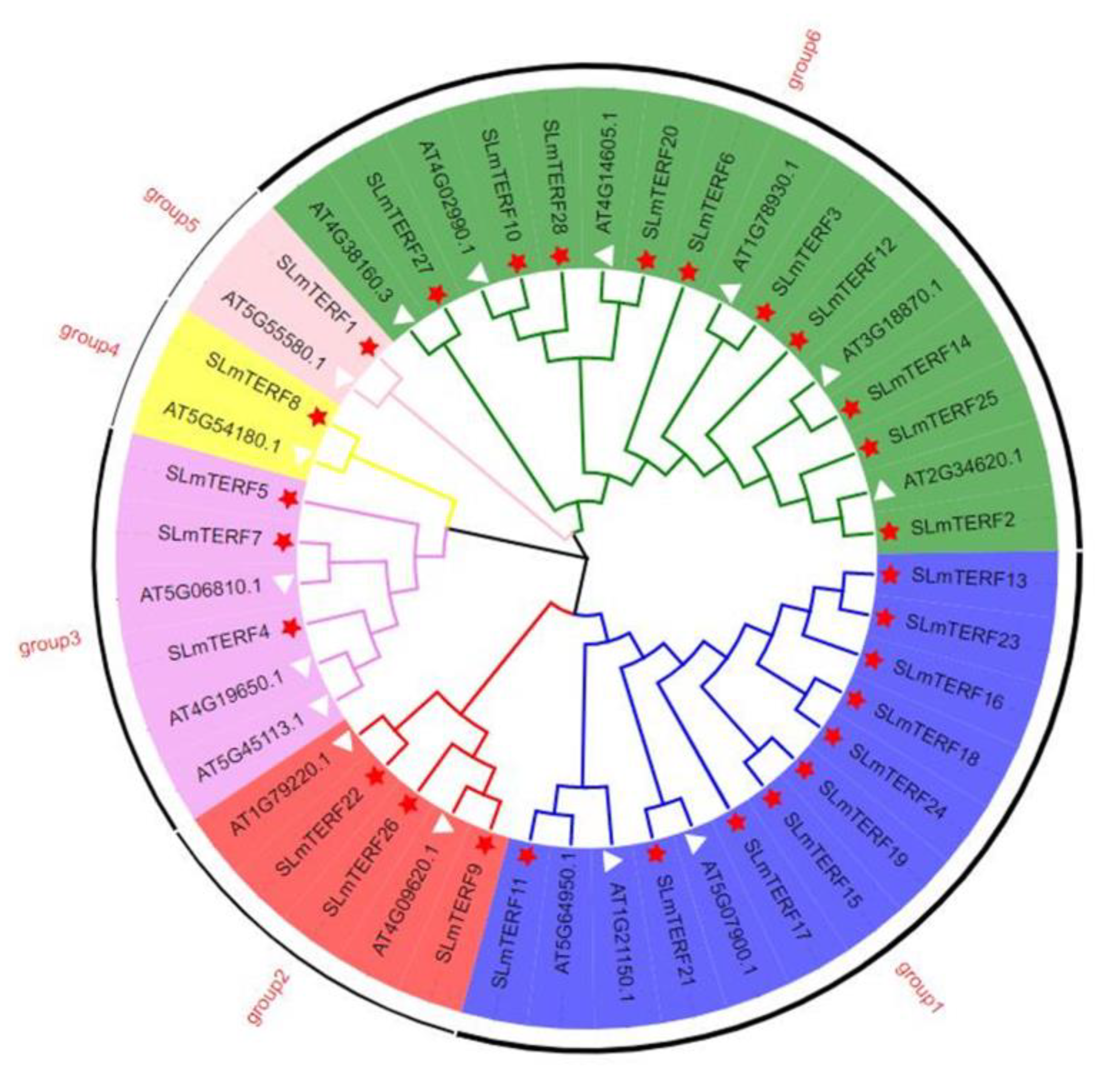 Plants 12 02862 g001 Plants 12 02862 g001