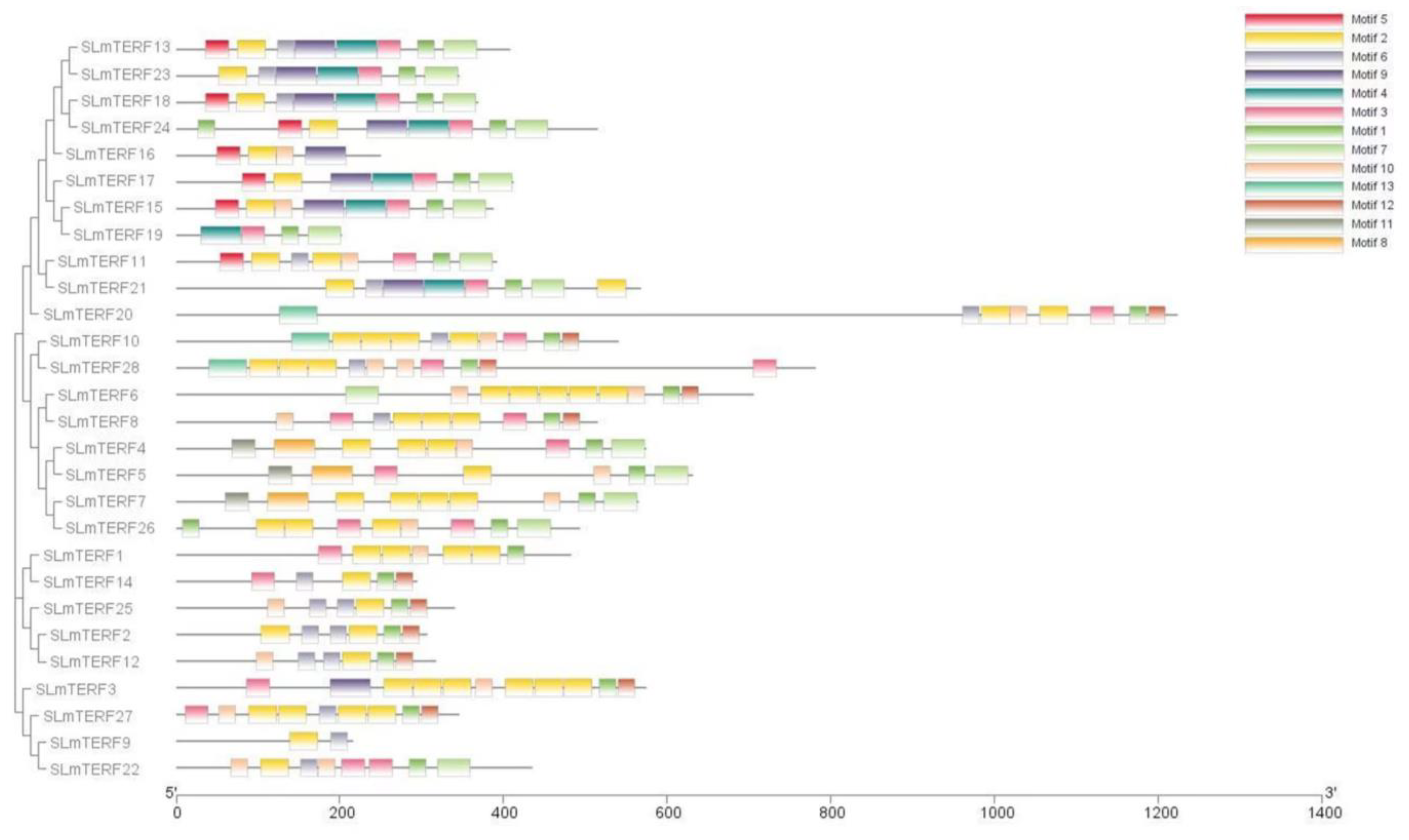 Plants 12 02862 g003 Plants 12 02862 g003