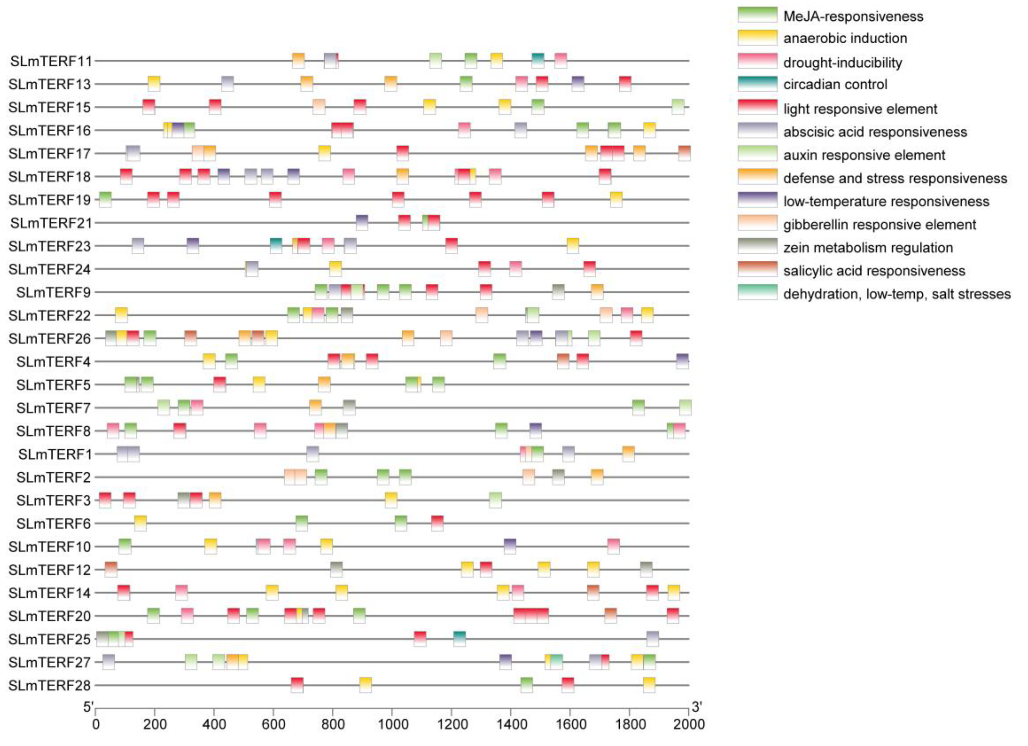 Plants 12 02862 g005 Plants 12 02862 g005