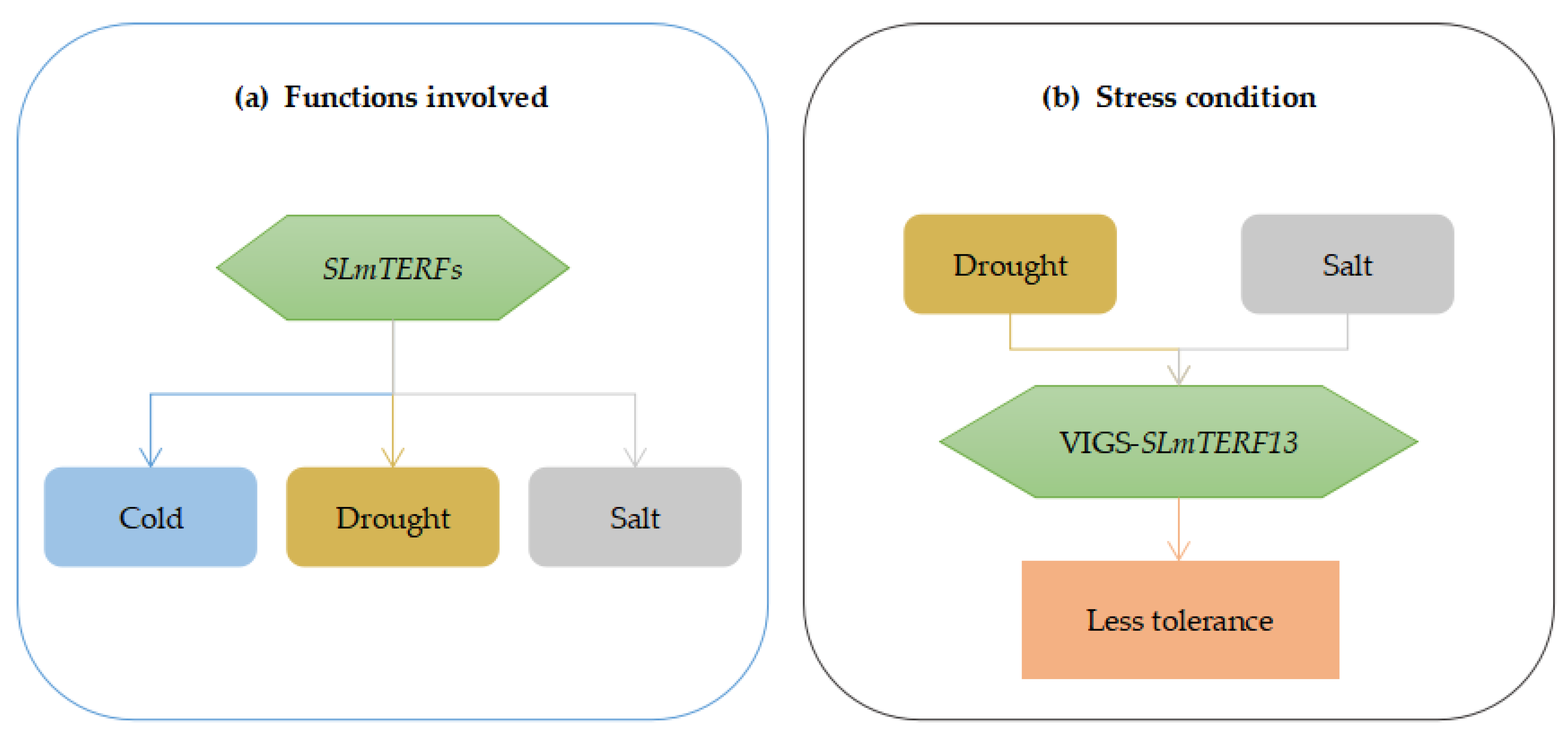 Plants 12 02862 g014 Plants 12 02862 g014