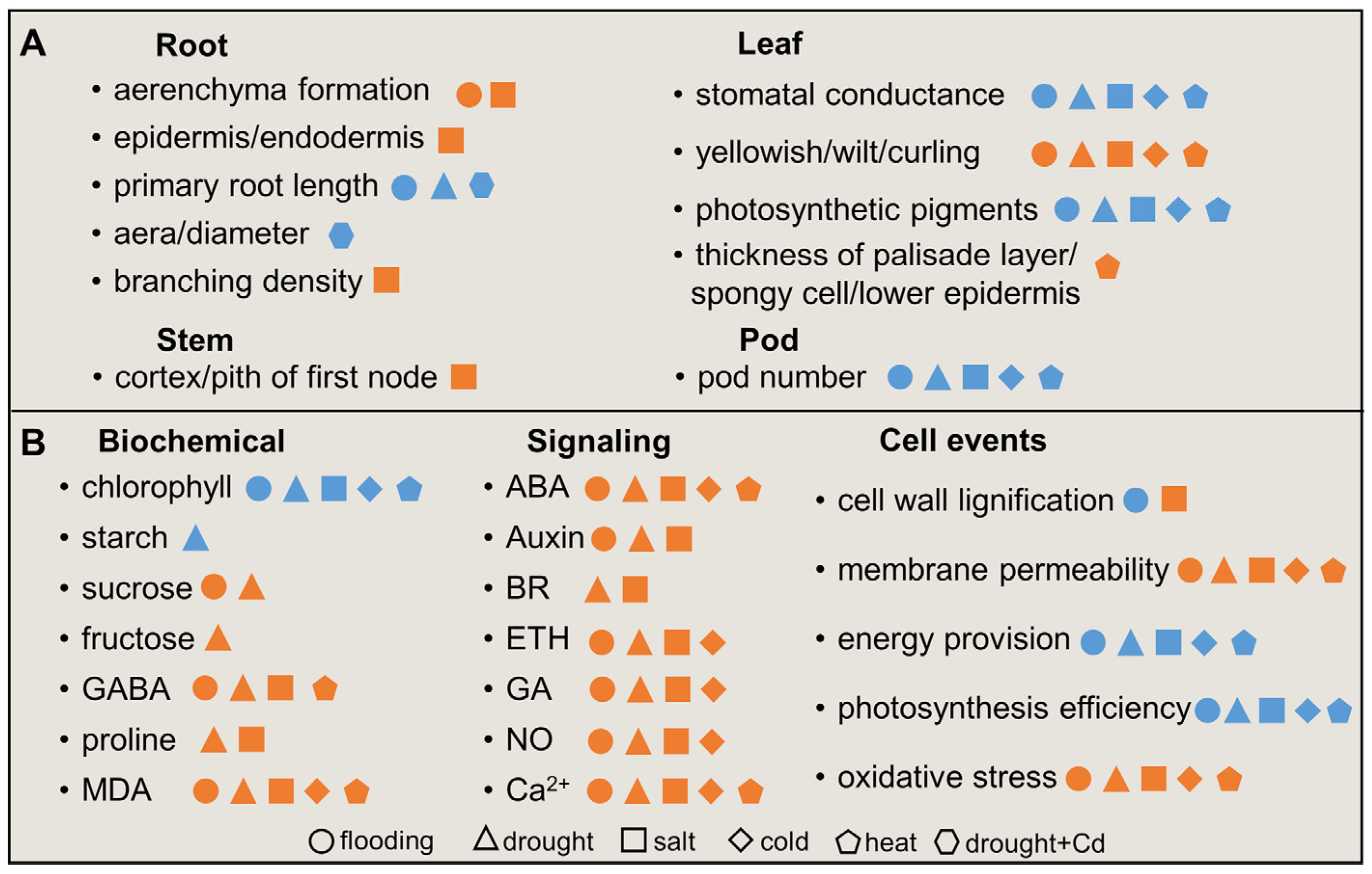 Plants 12 02865 g001