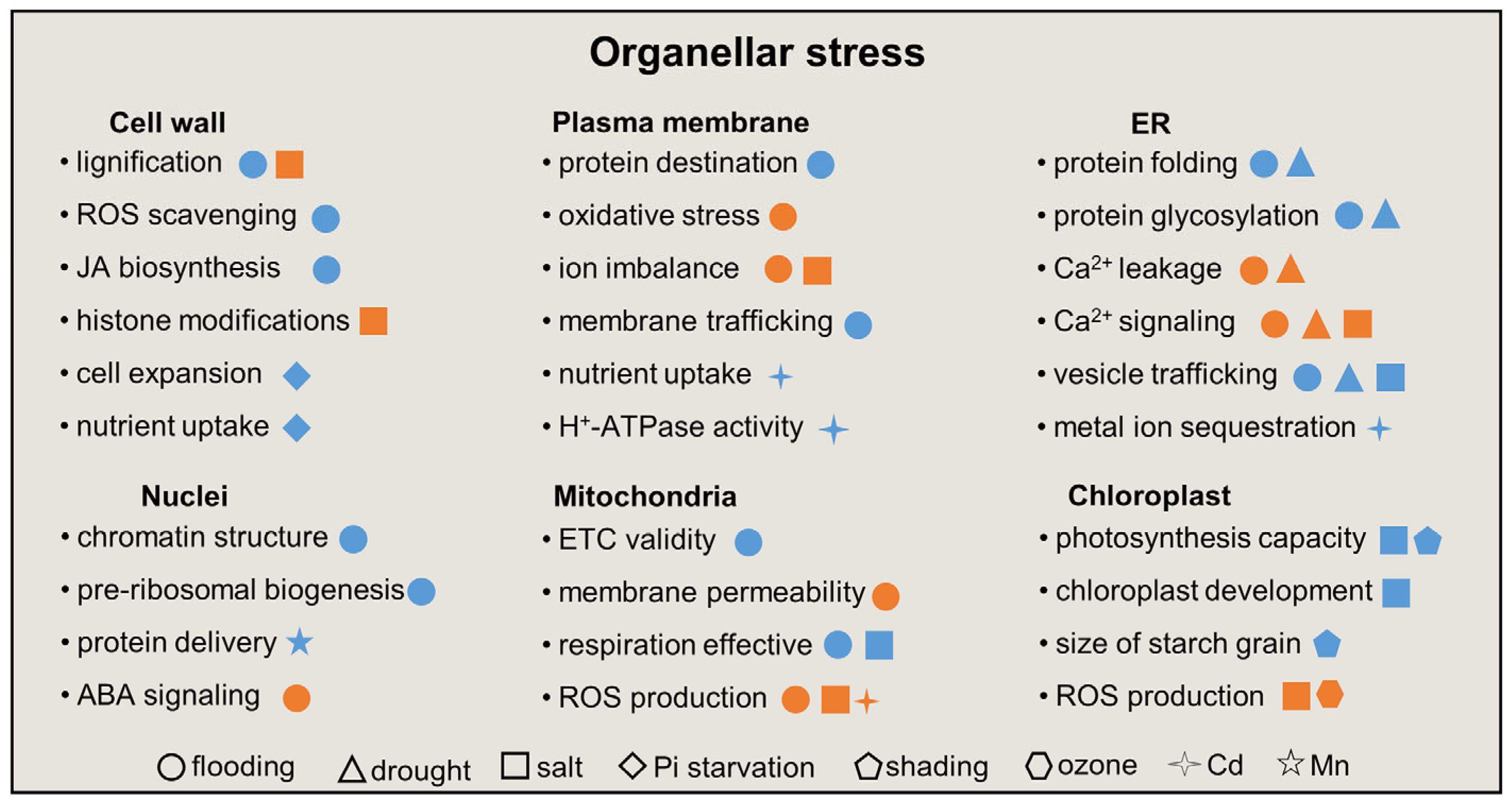 Plants 12 02865 g002