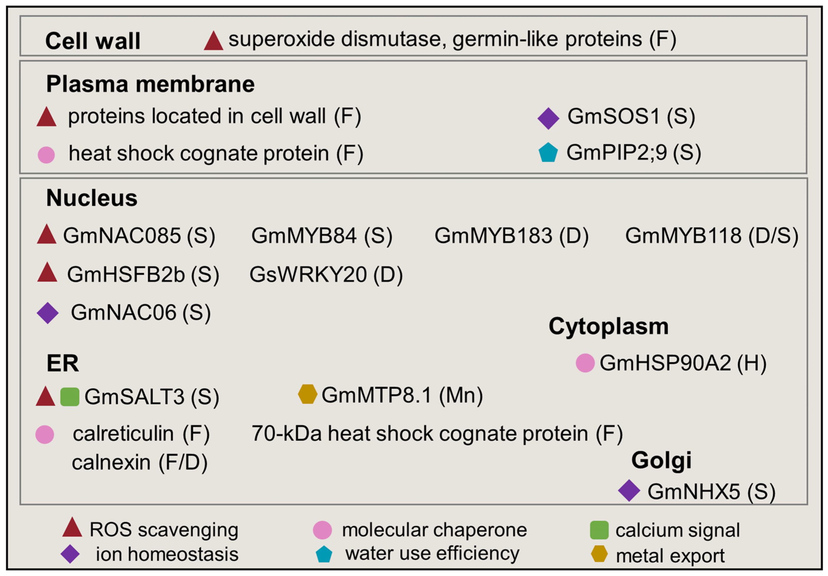 Plants 12 02865 g003