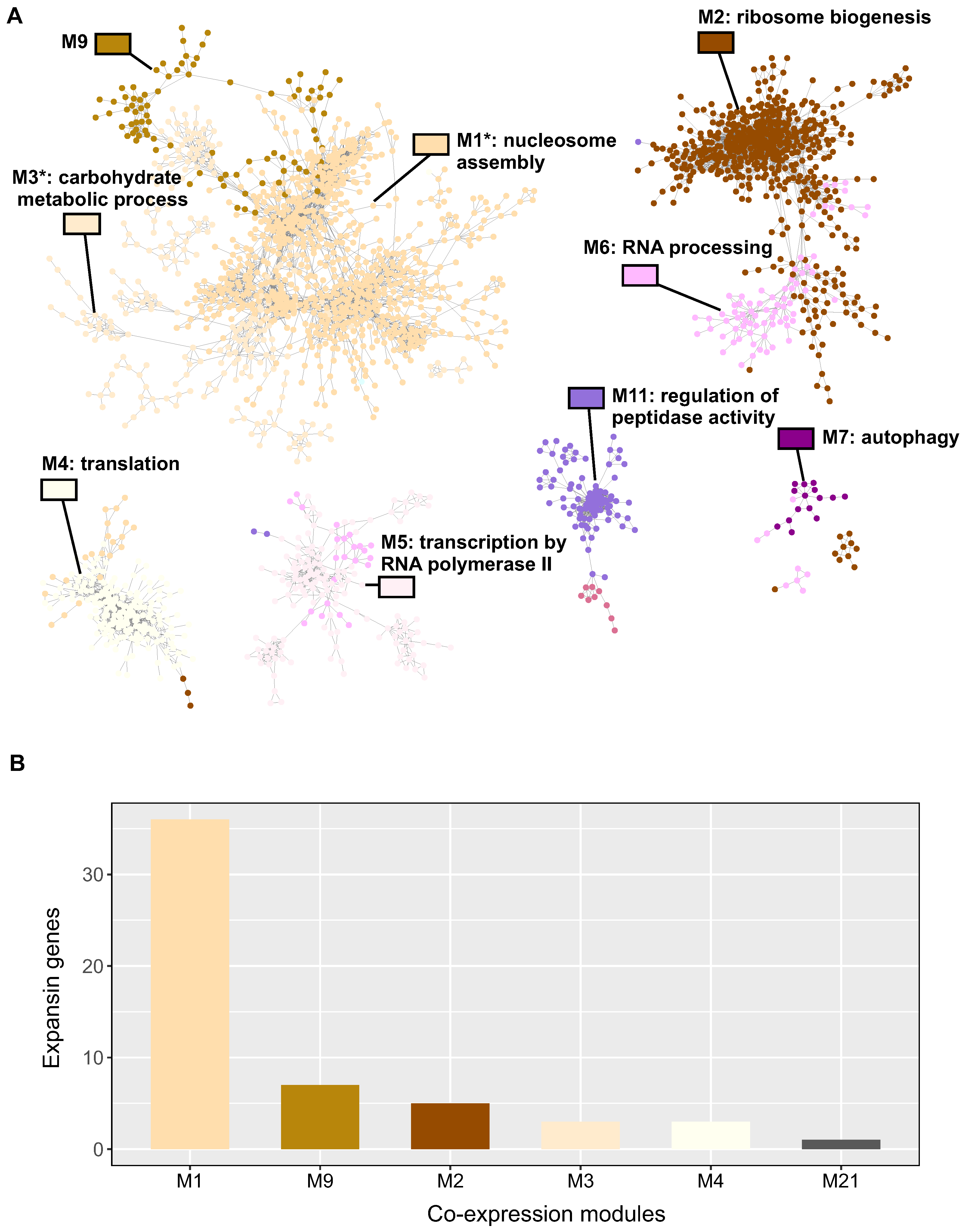 Plants 12 02868 g004
