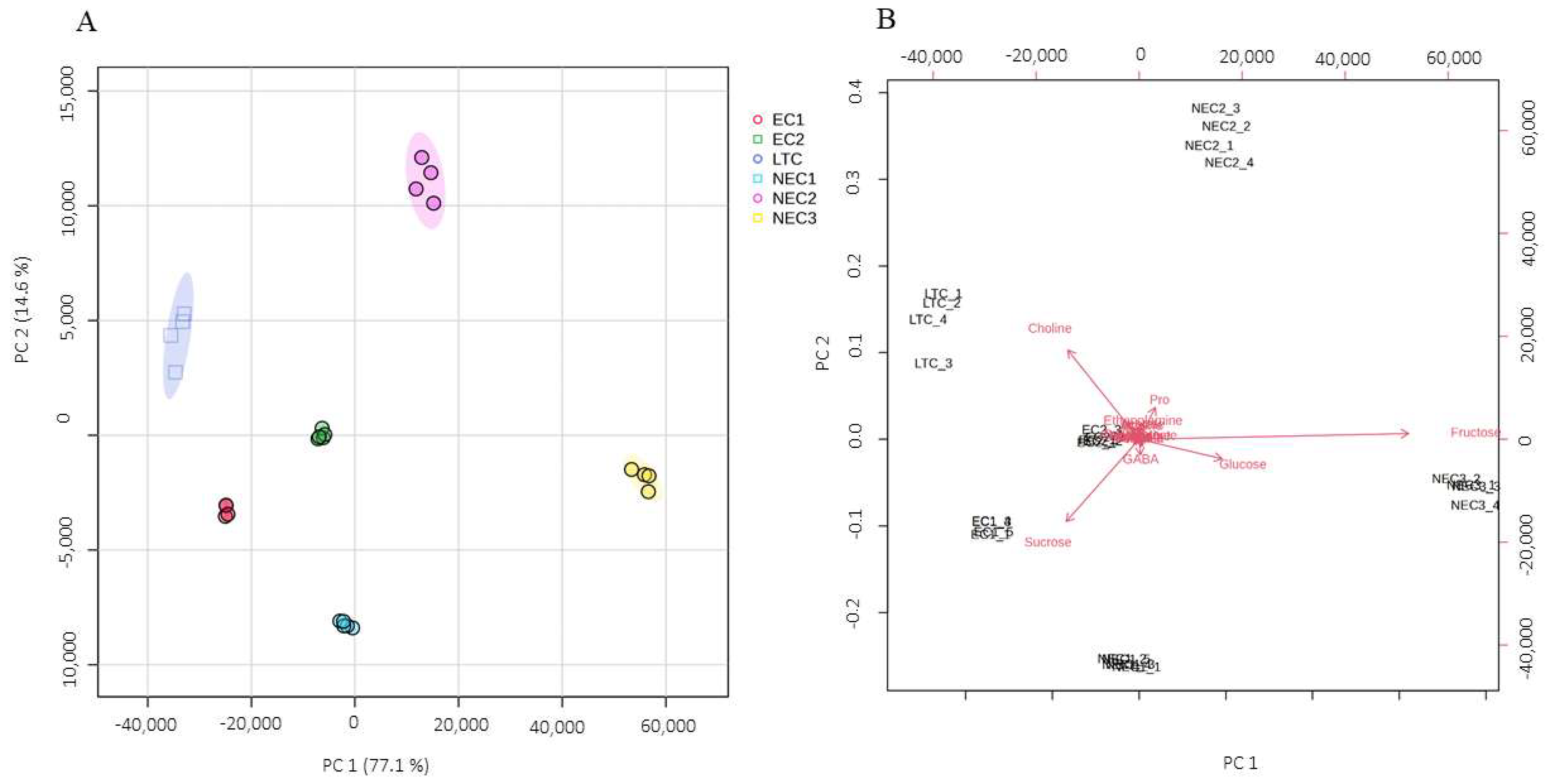 Plants 12 02869 g004