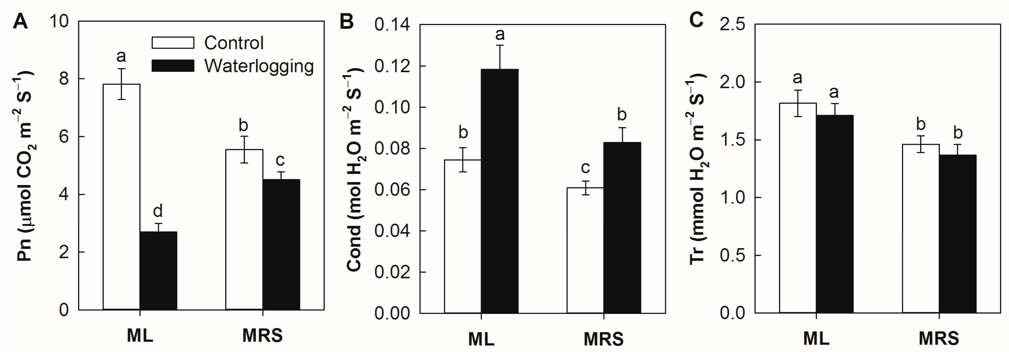 Plants 12 02872 g002 Plants 12 02872 g002