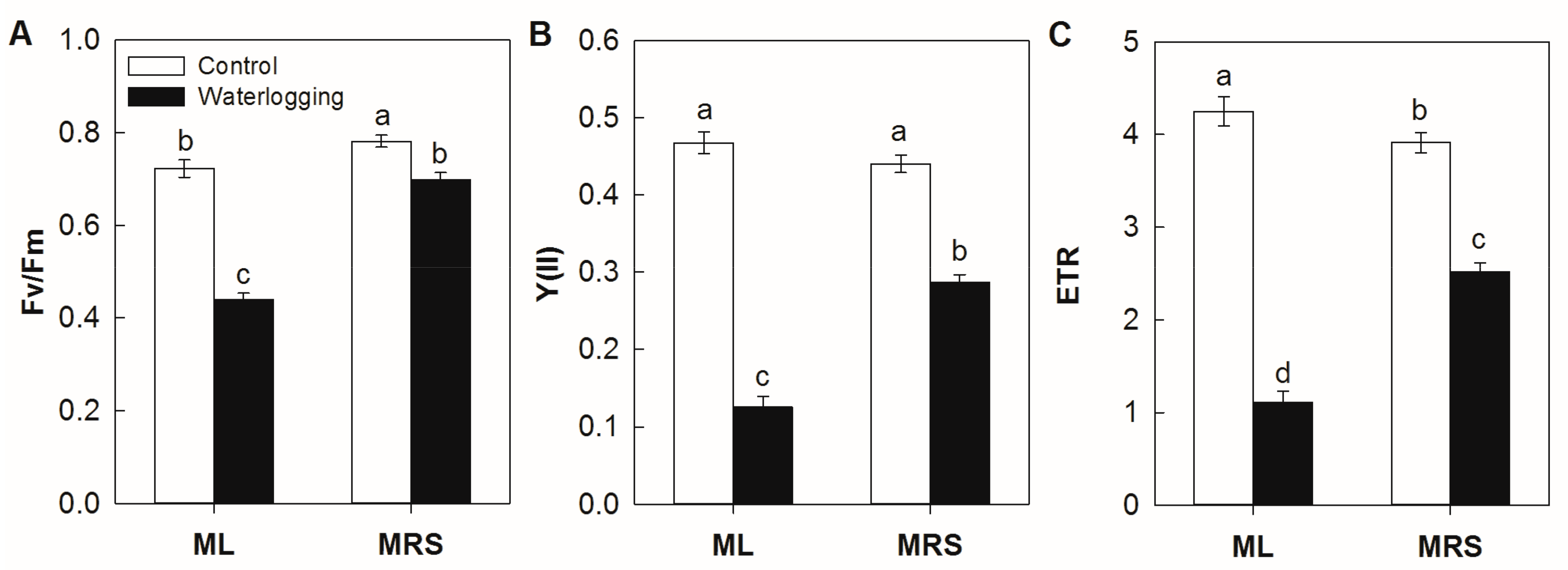 Plants 12 02872 g003 Plants 12 02872 g003