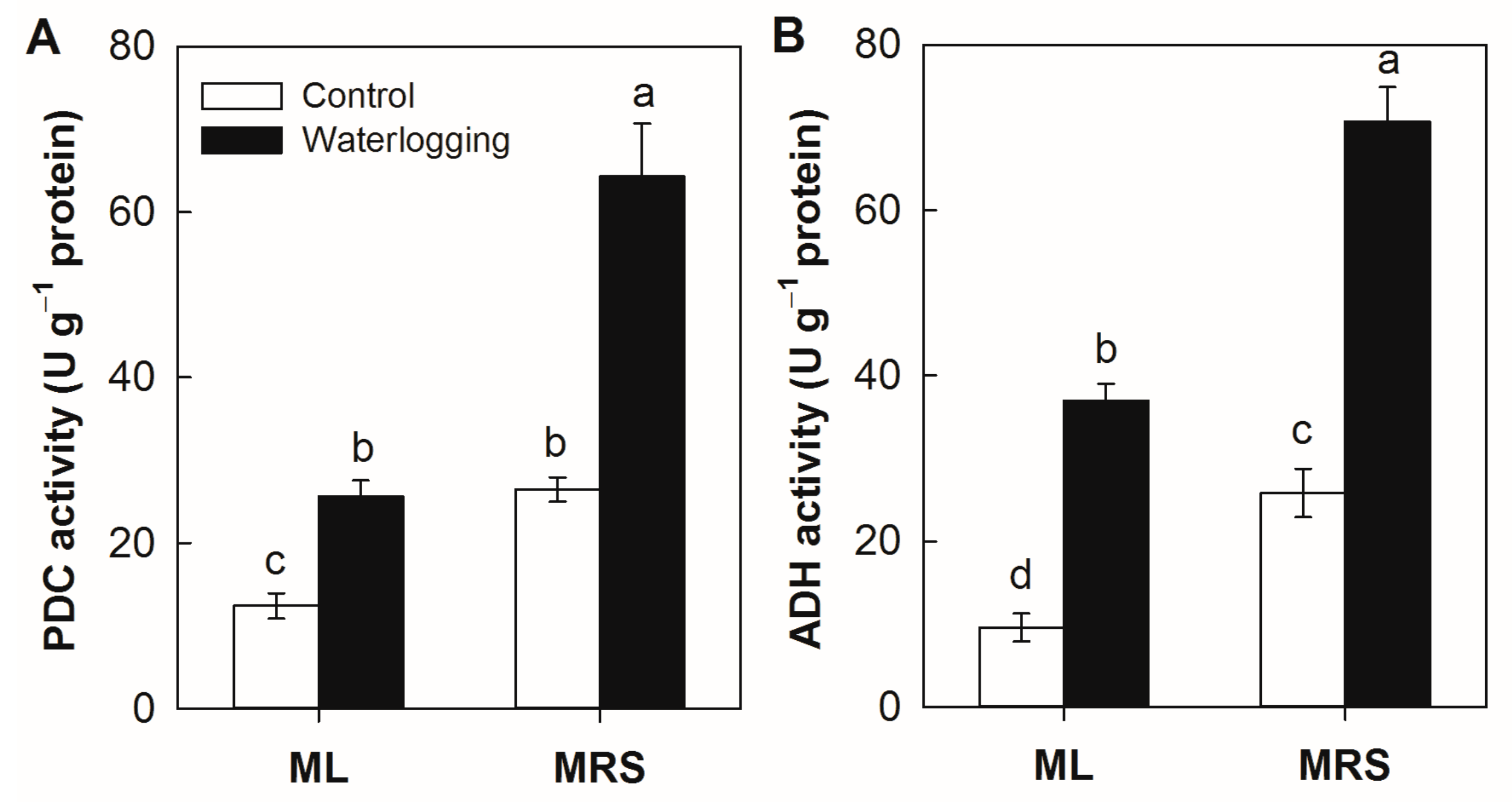 Plants 12 02872 g006 Plants 12 02872 g006
