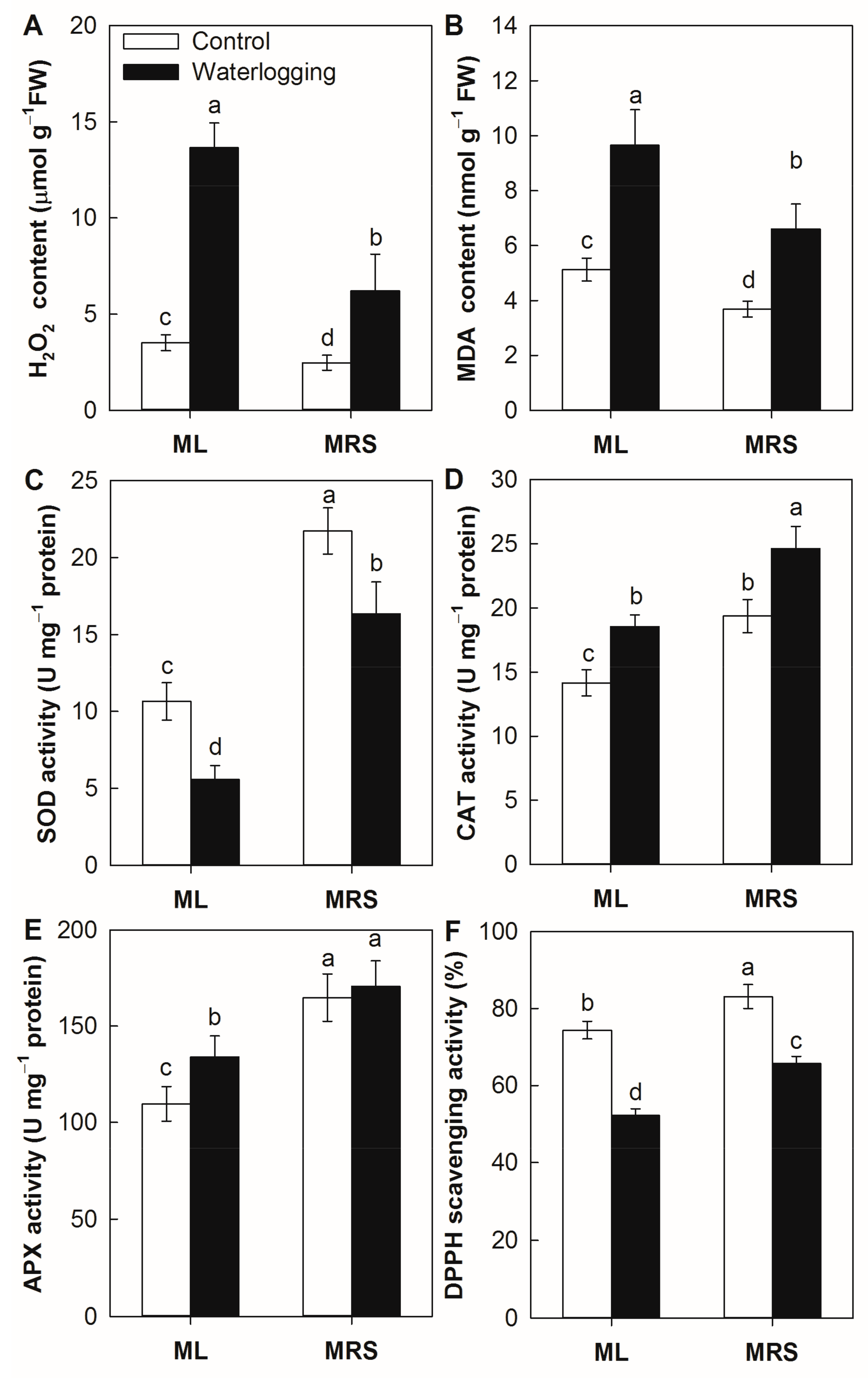 Plants 12 02872 g008 Plants 12 02872 g008