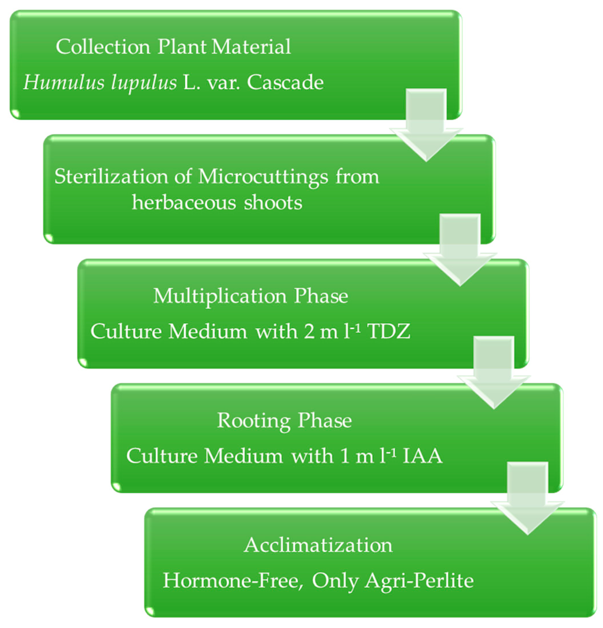 Plants 12 02877 g003 Plants 12 02877 g003