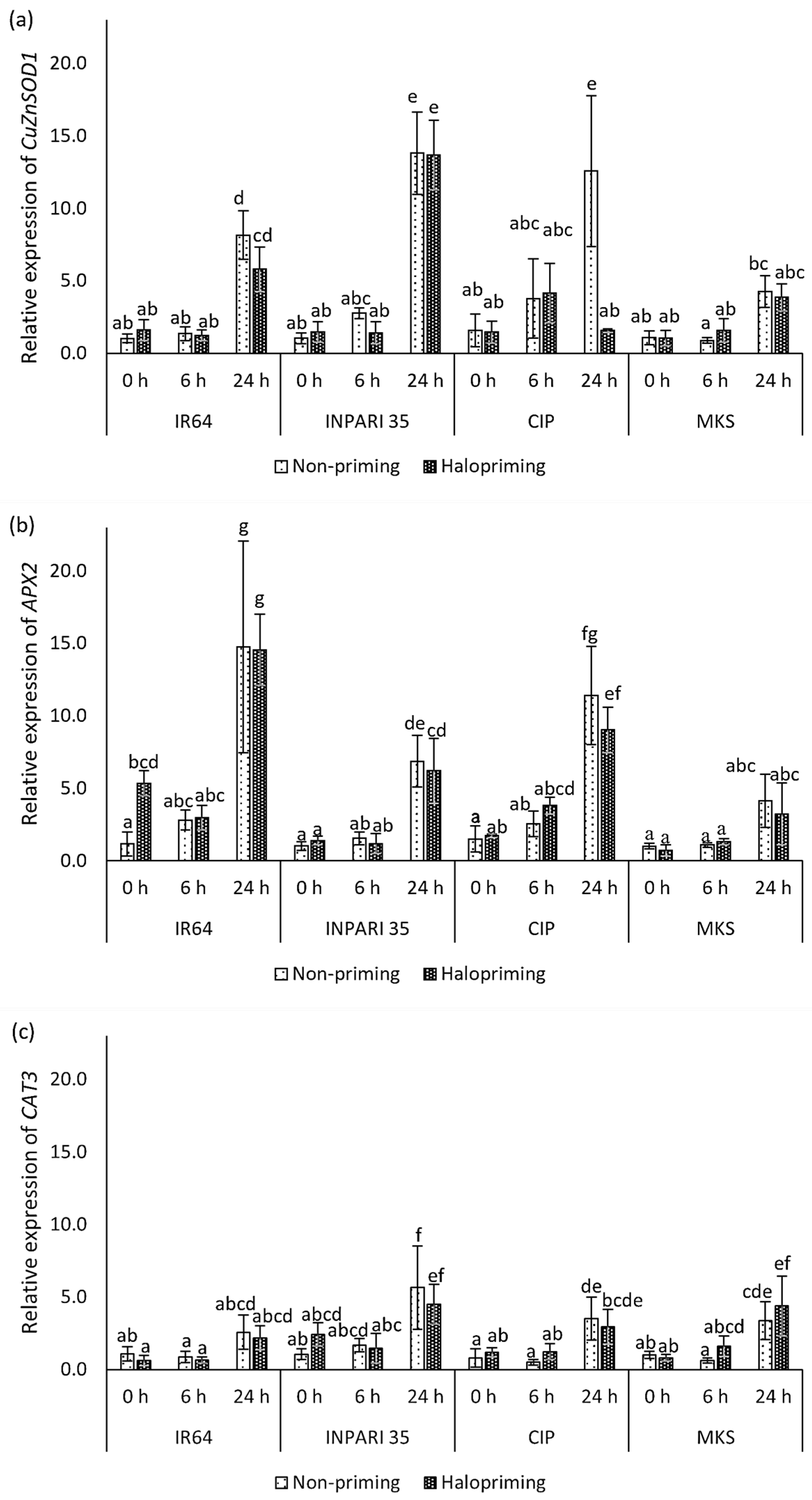 Plants 12 02879 g005