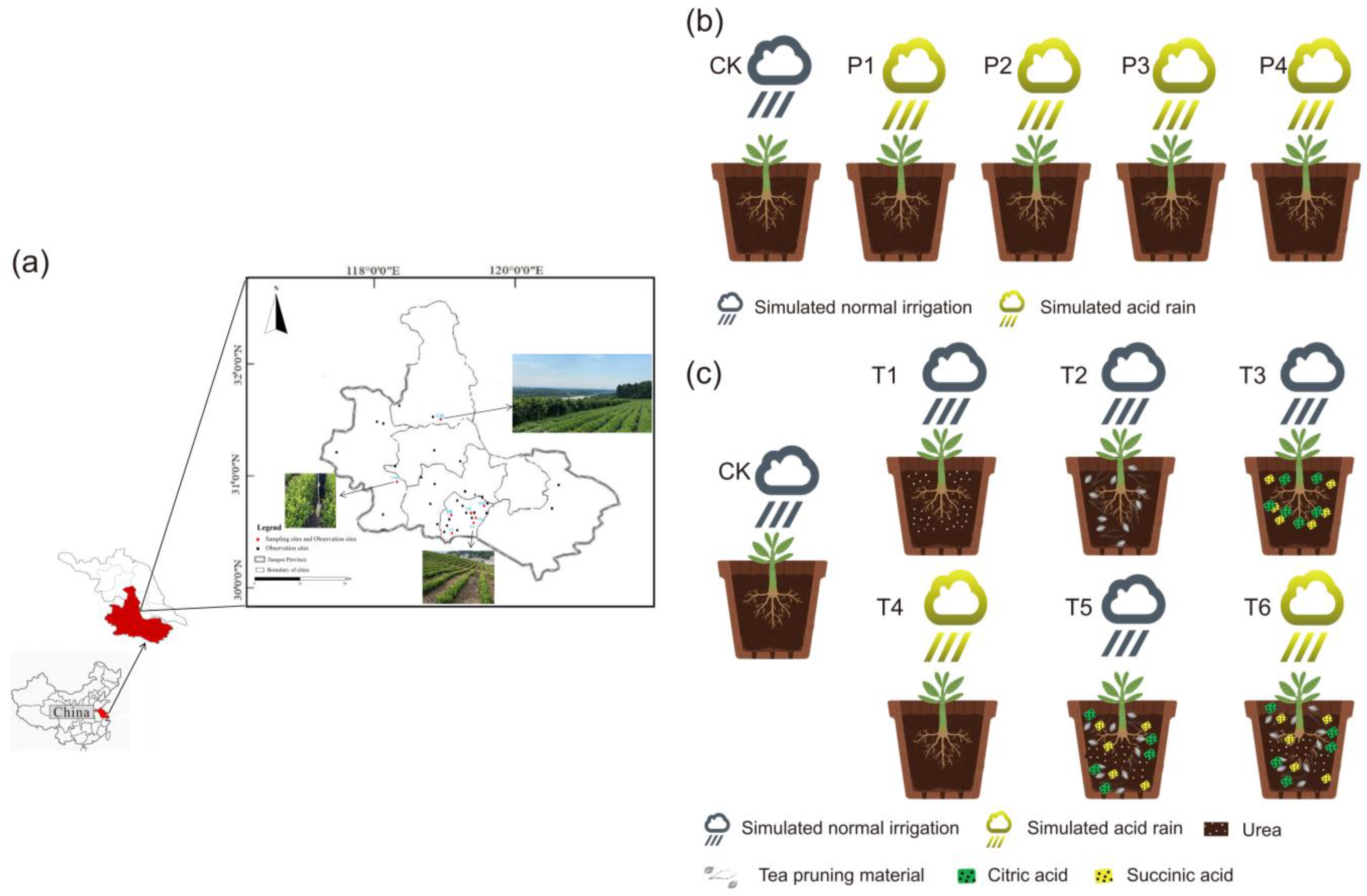 Plants 12 02882 g007