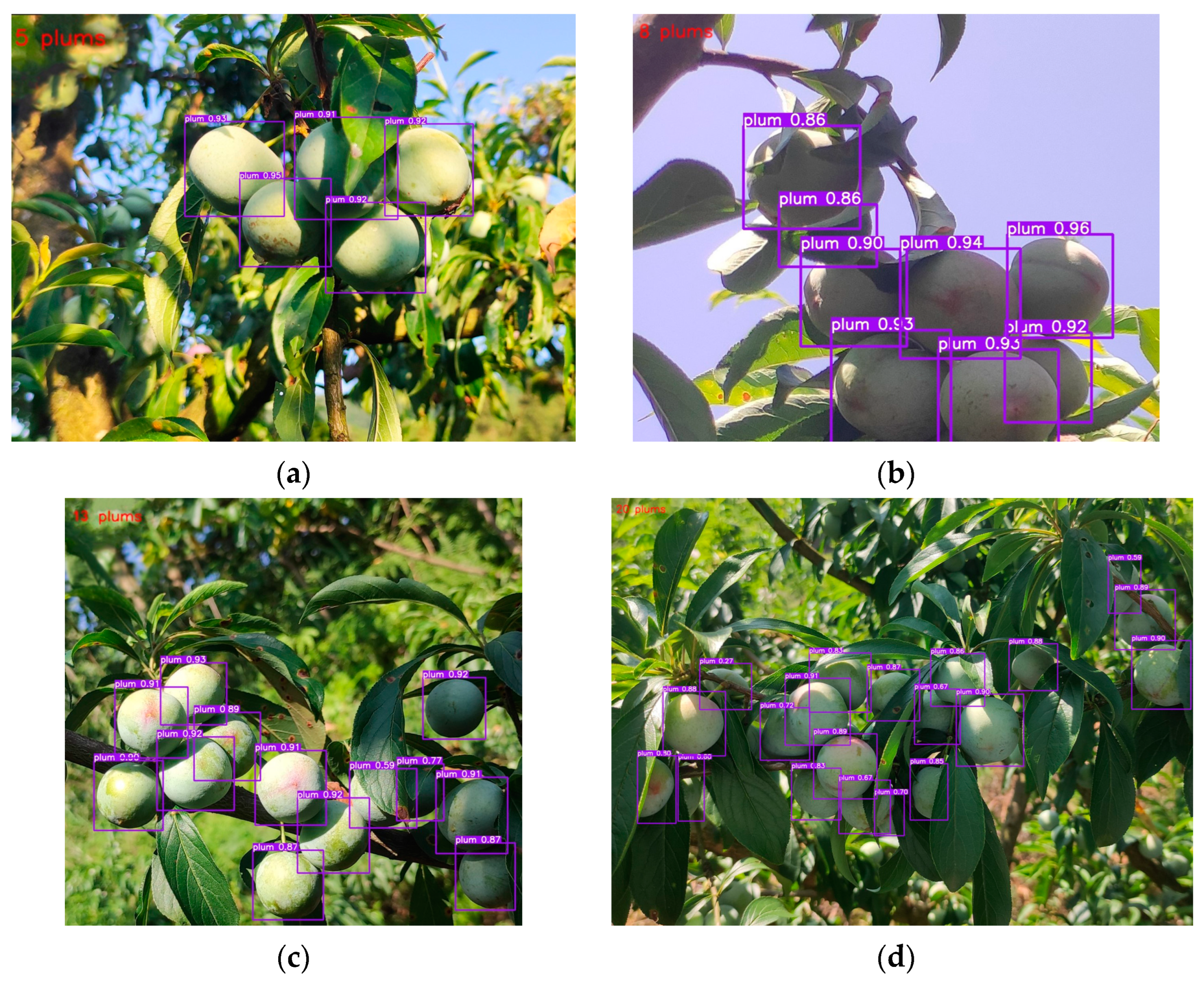 Plants 12 02883 g003 Plants 12 02883 g003