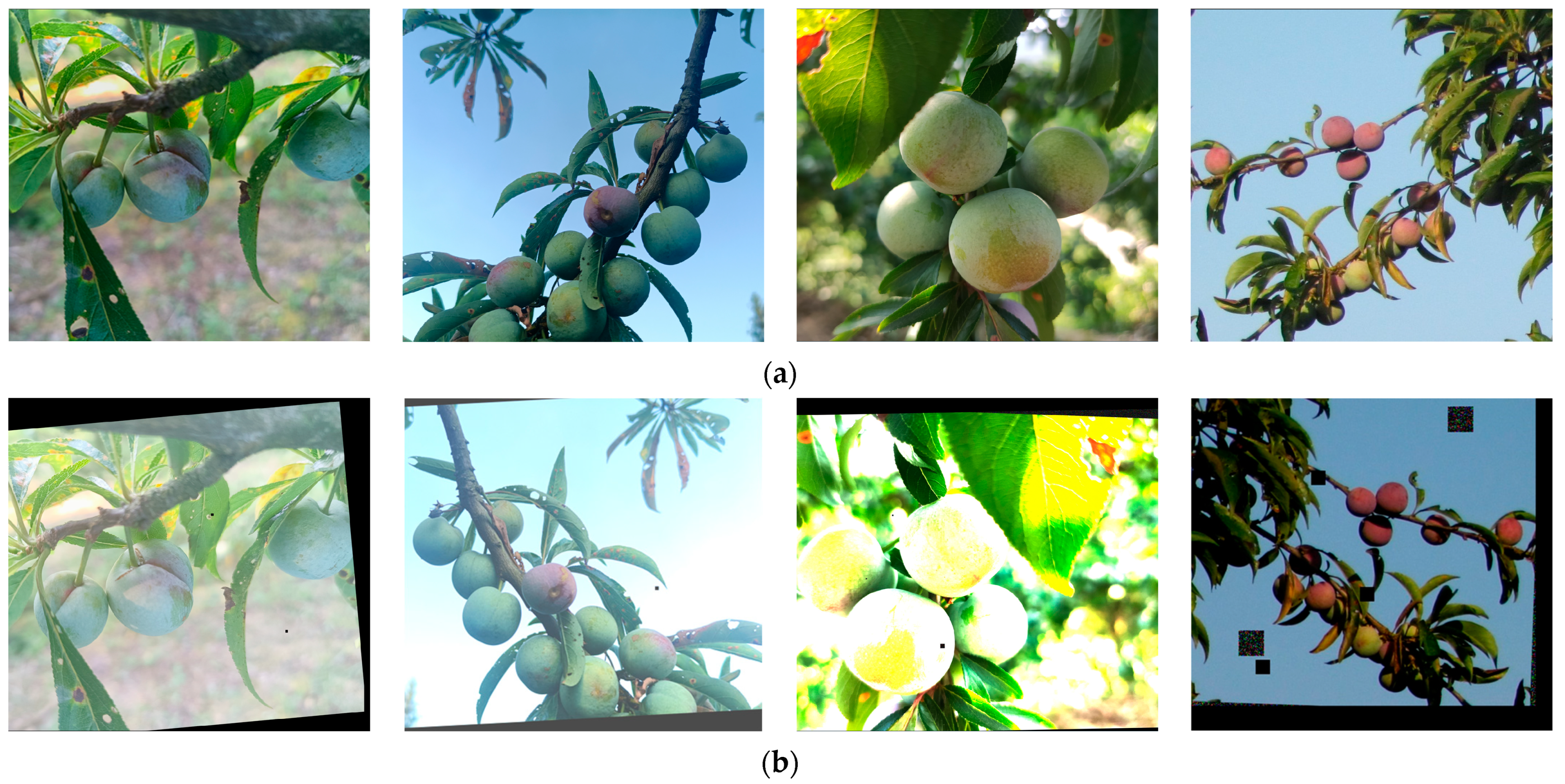 Plants 12 02883 g007 Plants 12 02883 g007