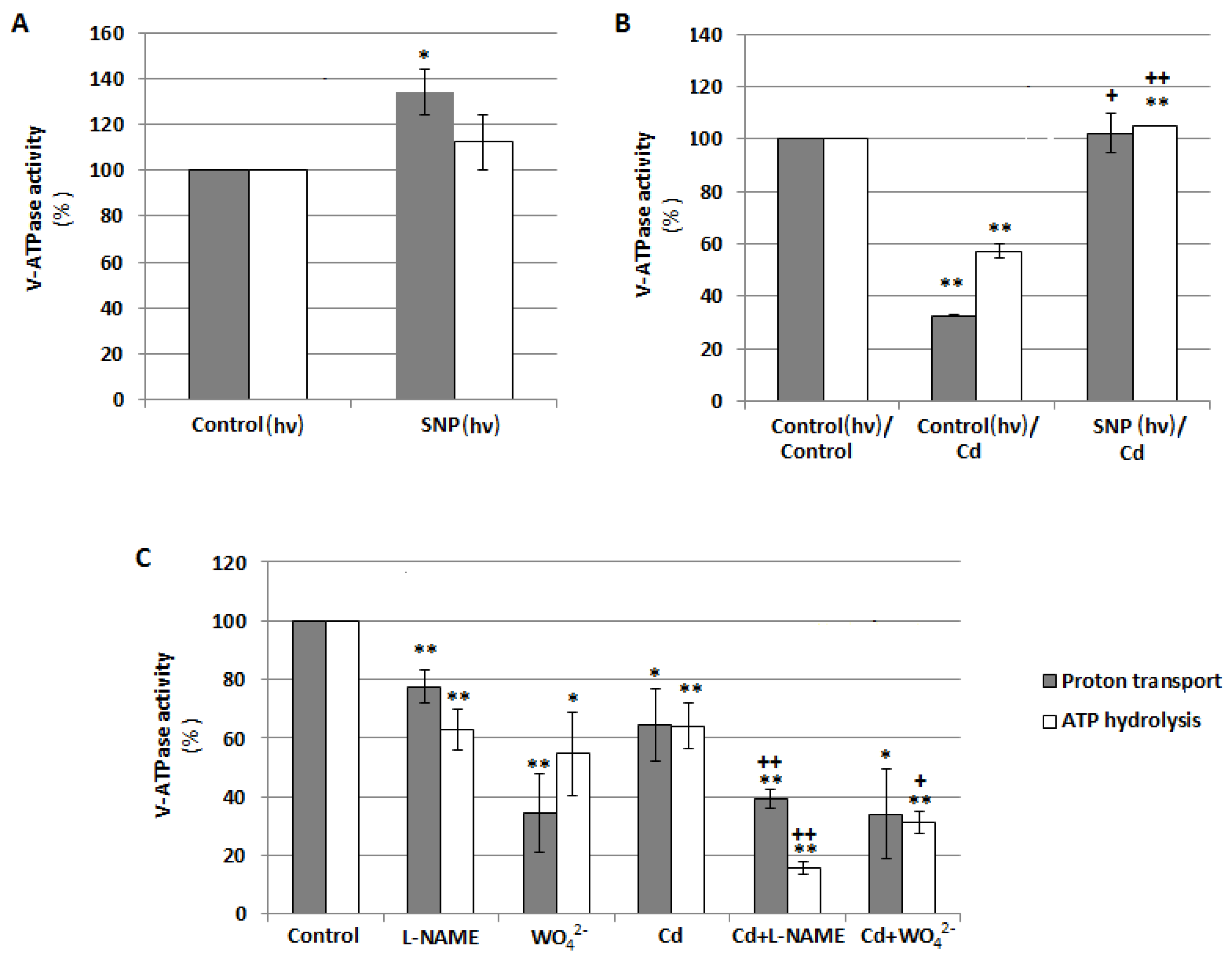 Plants 12 02884 g005 Plants 12 02884 g005