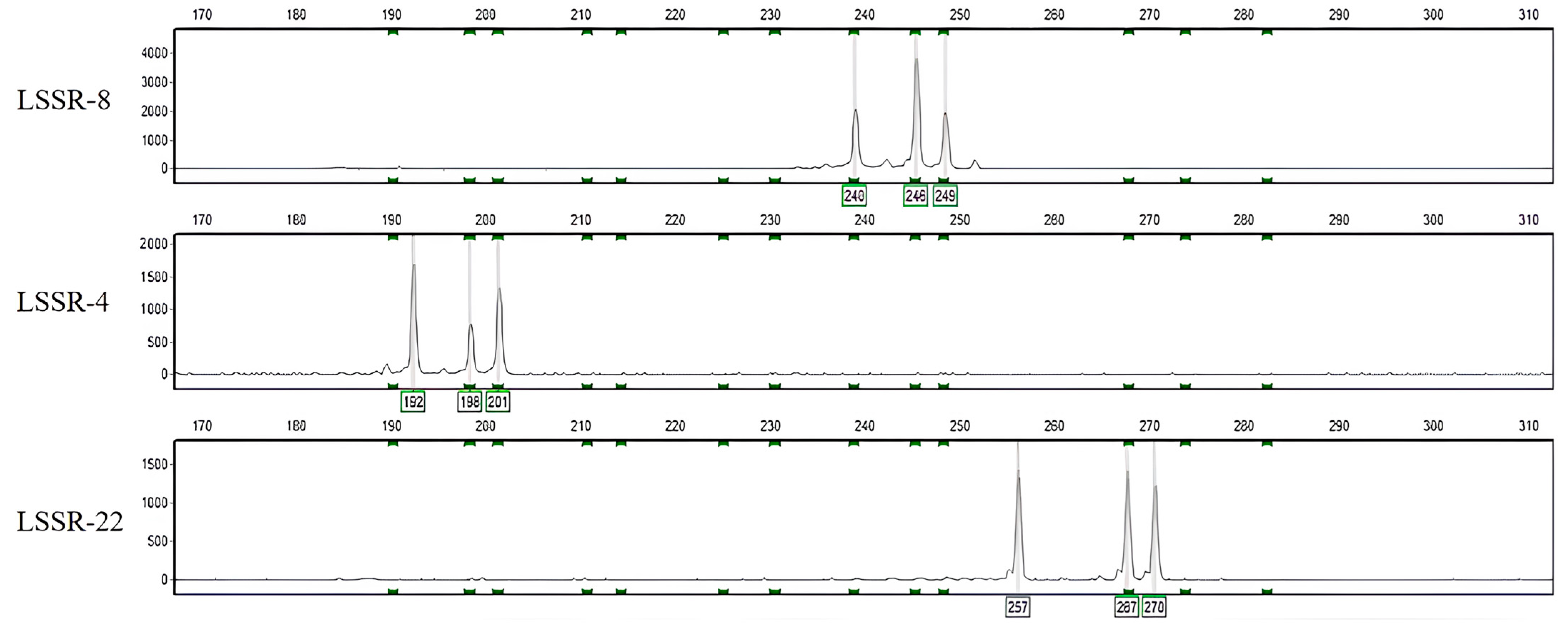 Plants 12 02885 g001 Plants 12 02885 g001
