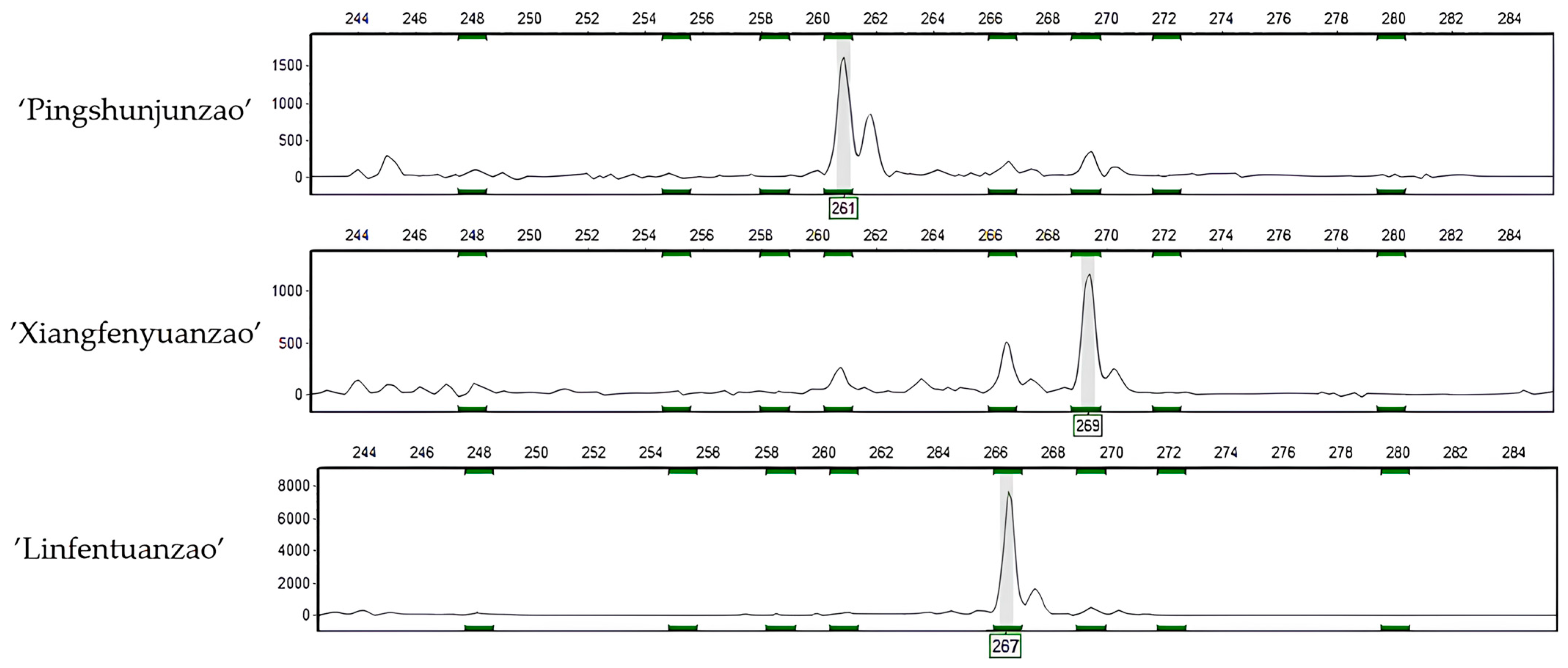 Plants 12 02885 g002 Plants 12 02885 g002