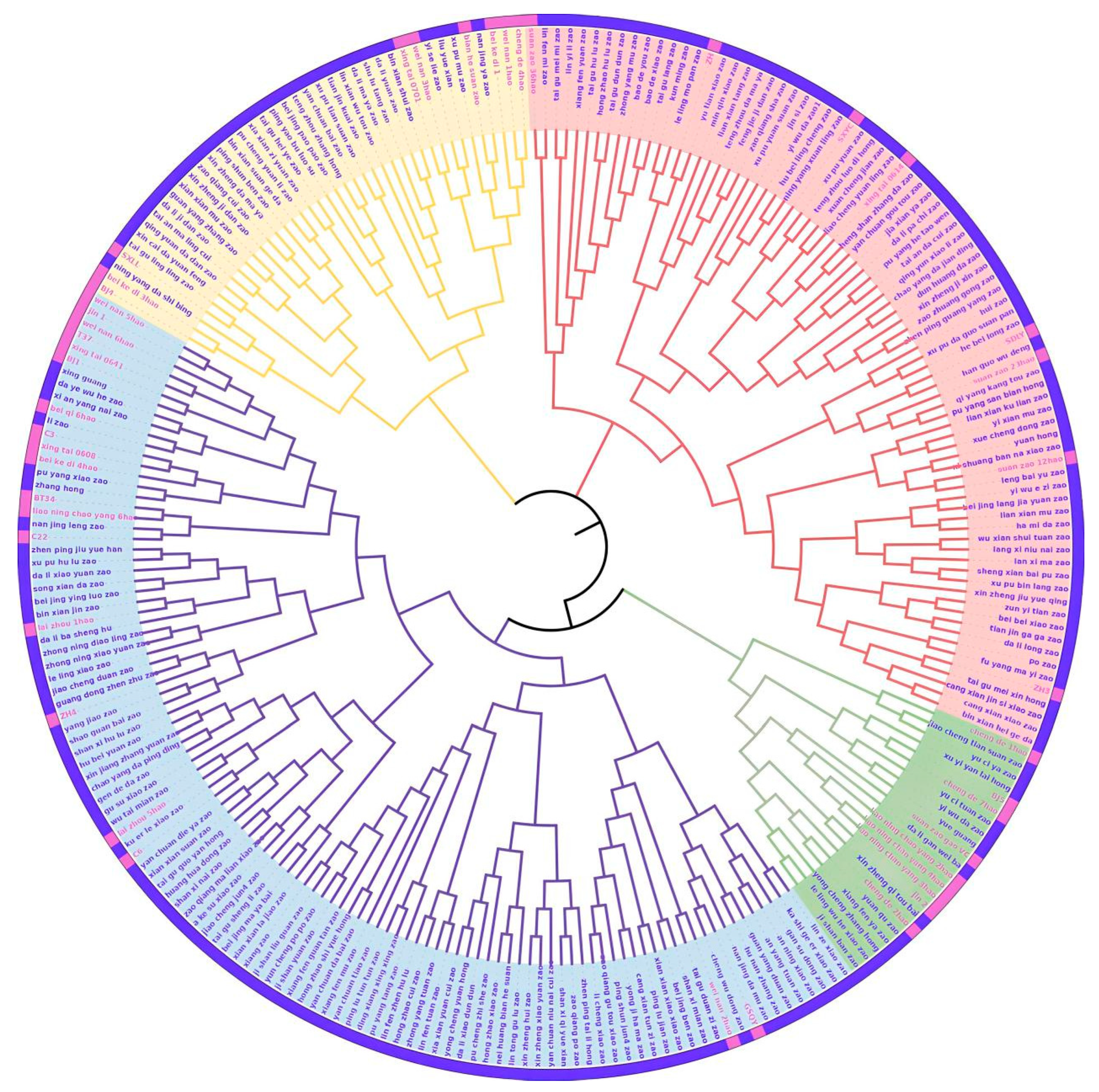 Plants 12 02885 g003 Plants 12 02885 g003