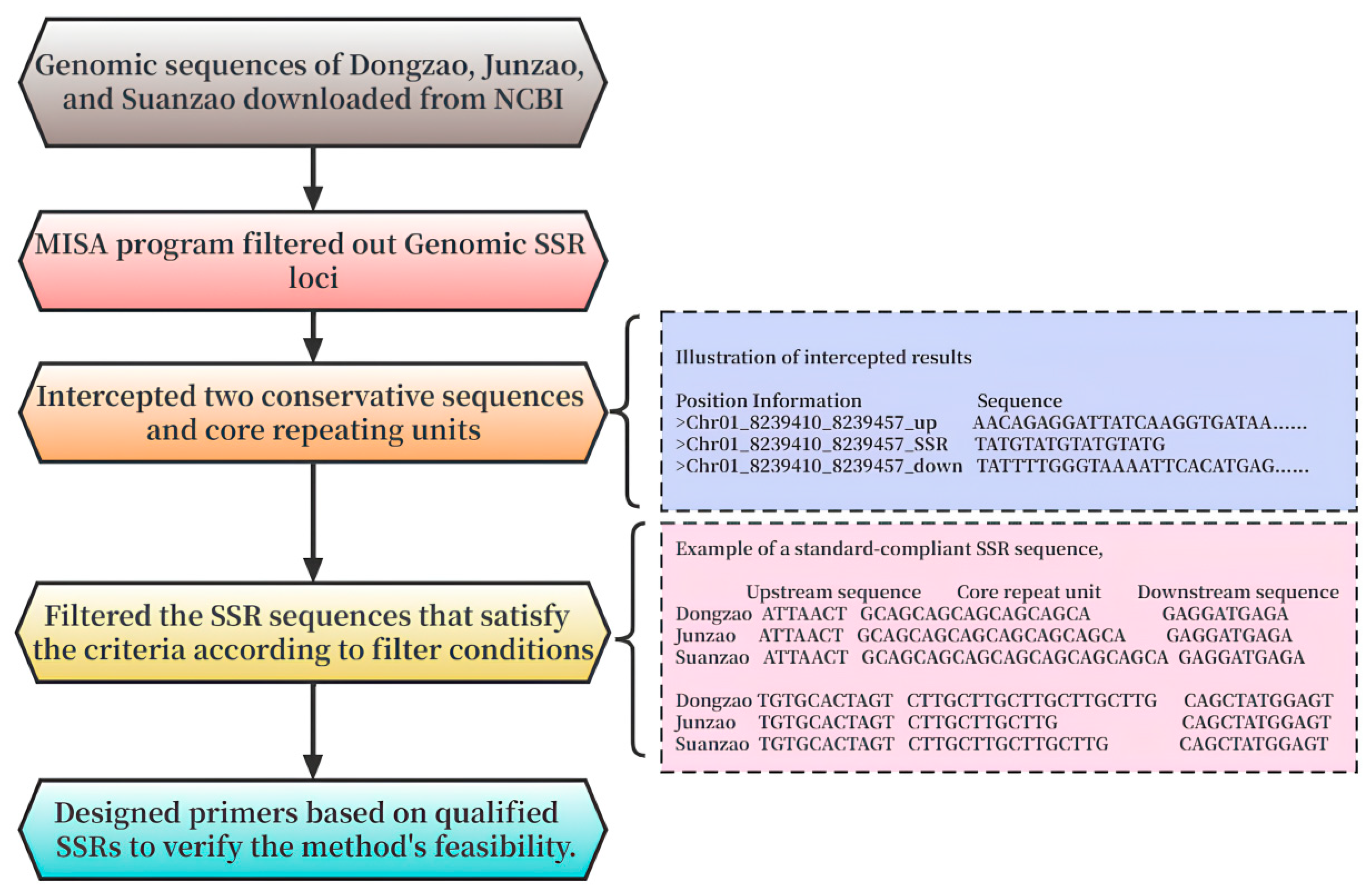 Plants 12 02885 g006 Plants 12 02885 g006
