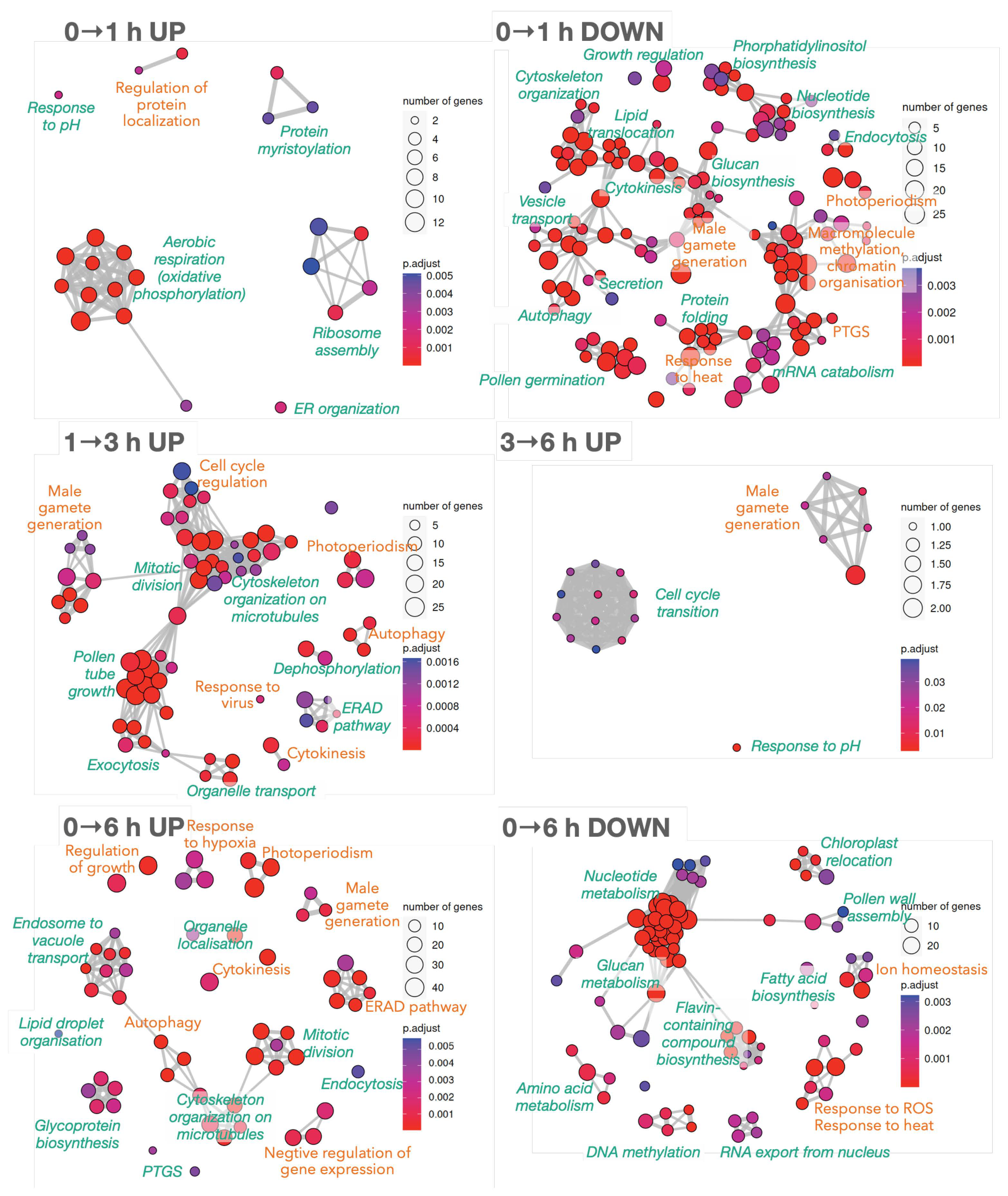 Plants 12 02894 g002 Plants 12 02894 g002
