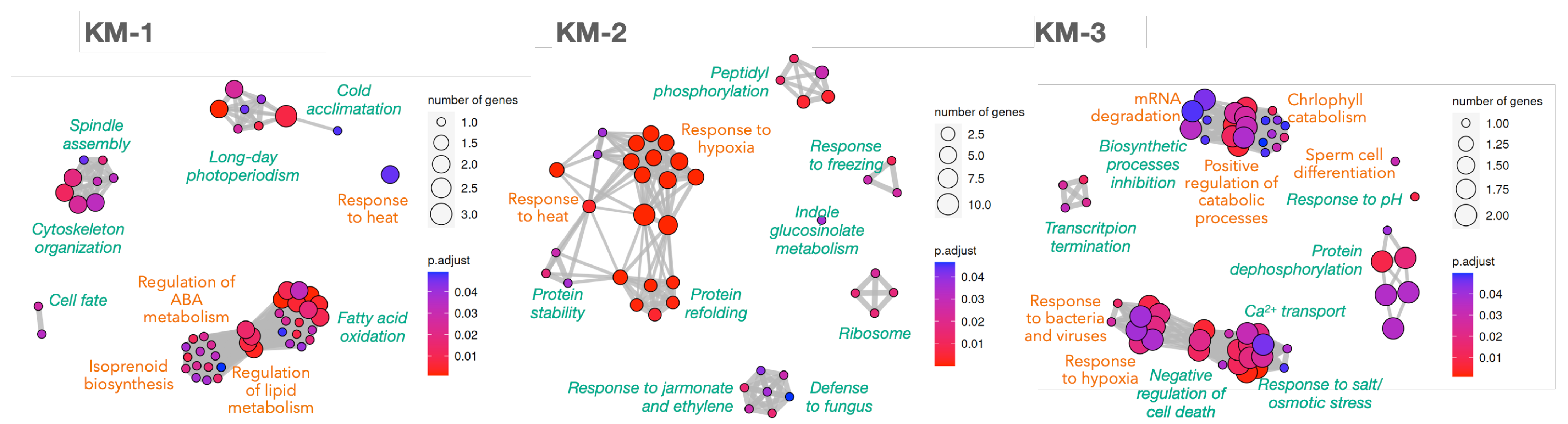 Plants 12 02894 g004 Plants 12 02894 g004