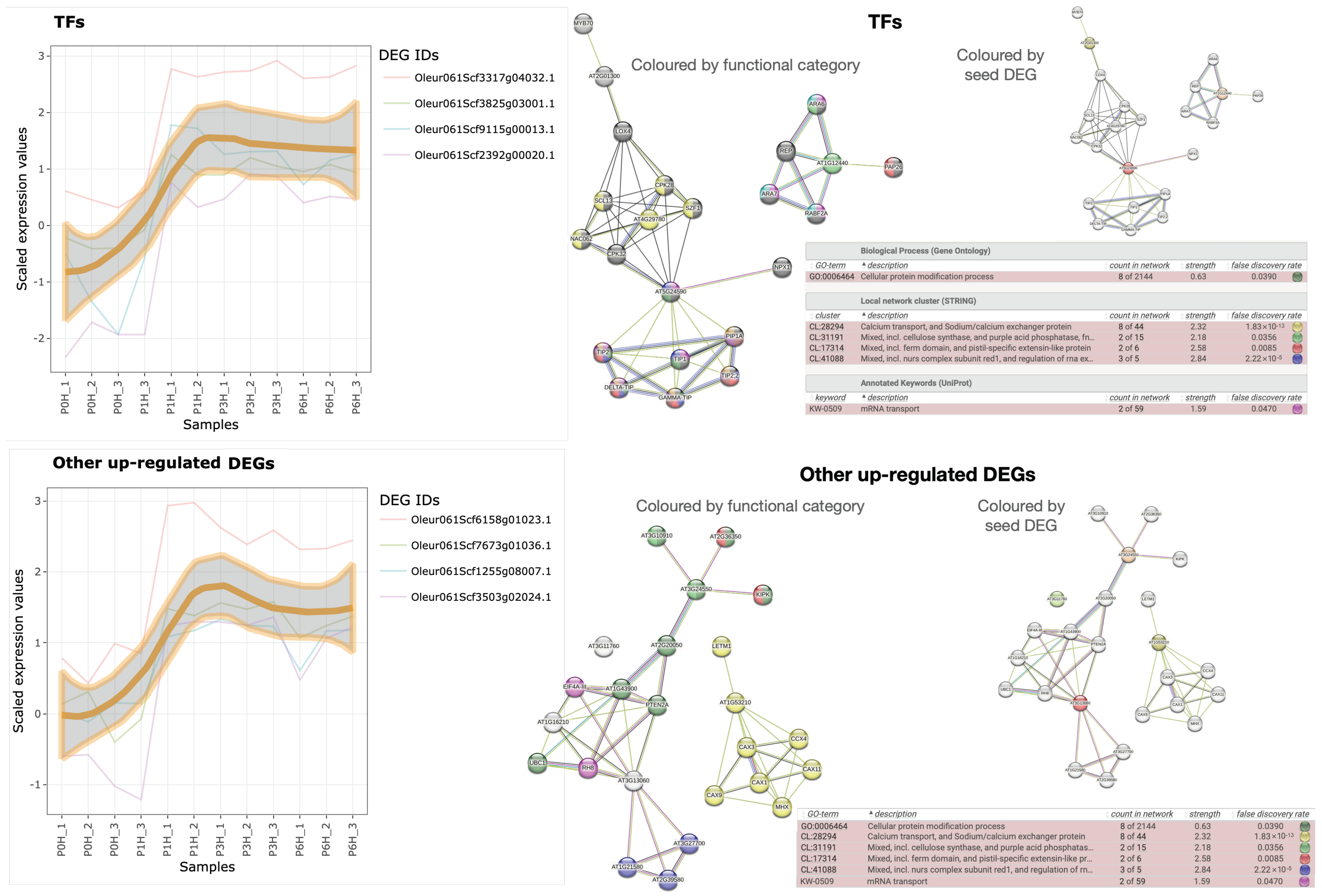 Plants 12 02894 g006 Plants 12 02894 g006