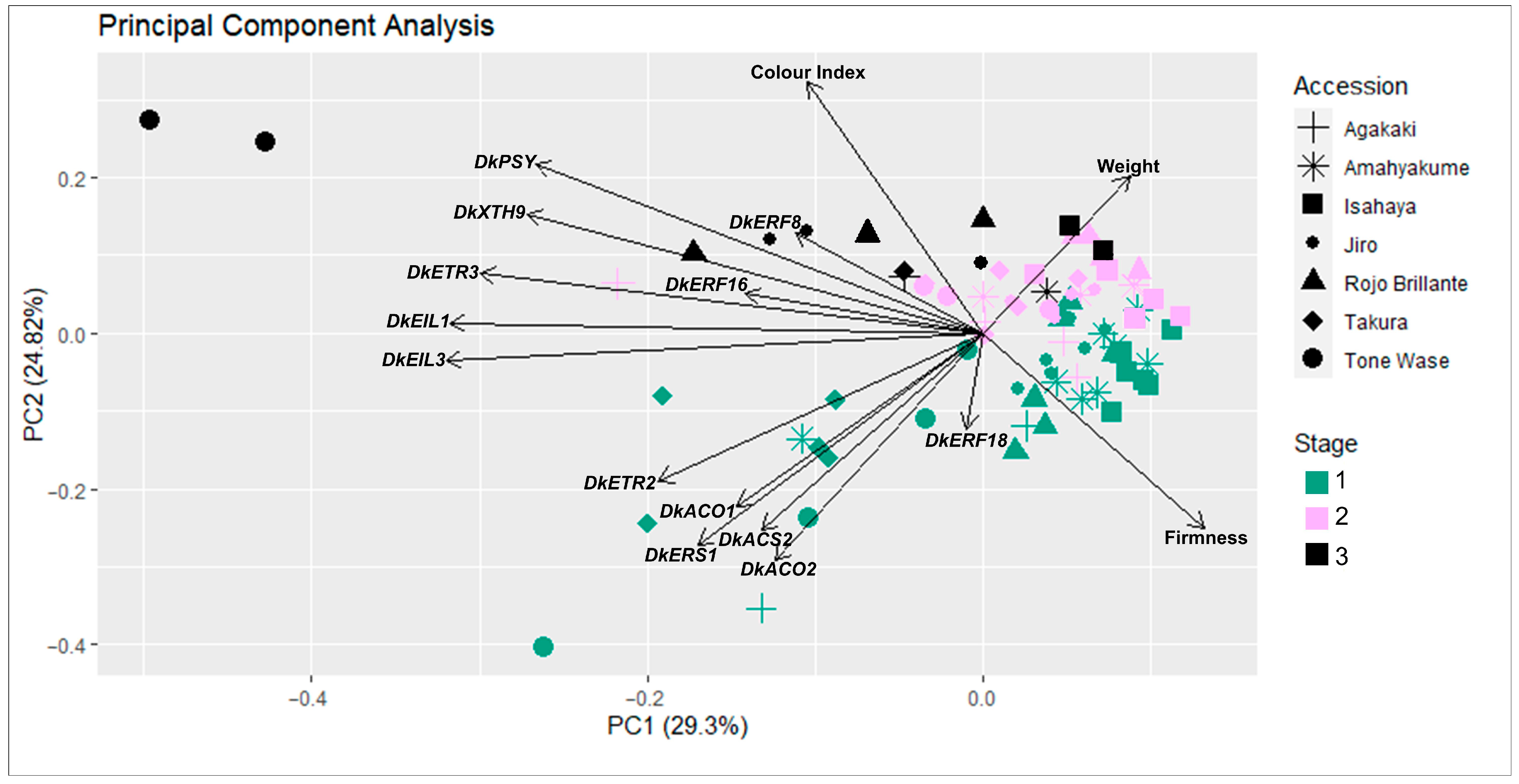 Plants 12 02895 g004 Plants 12 02895 g004
