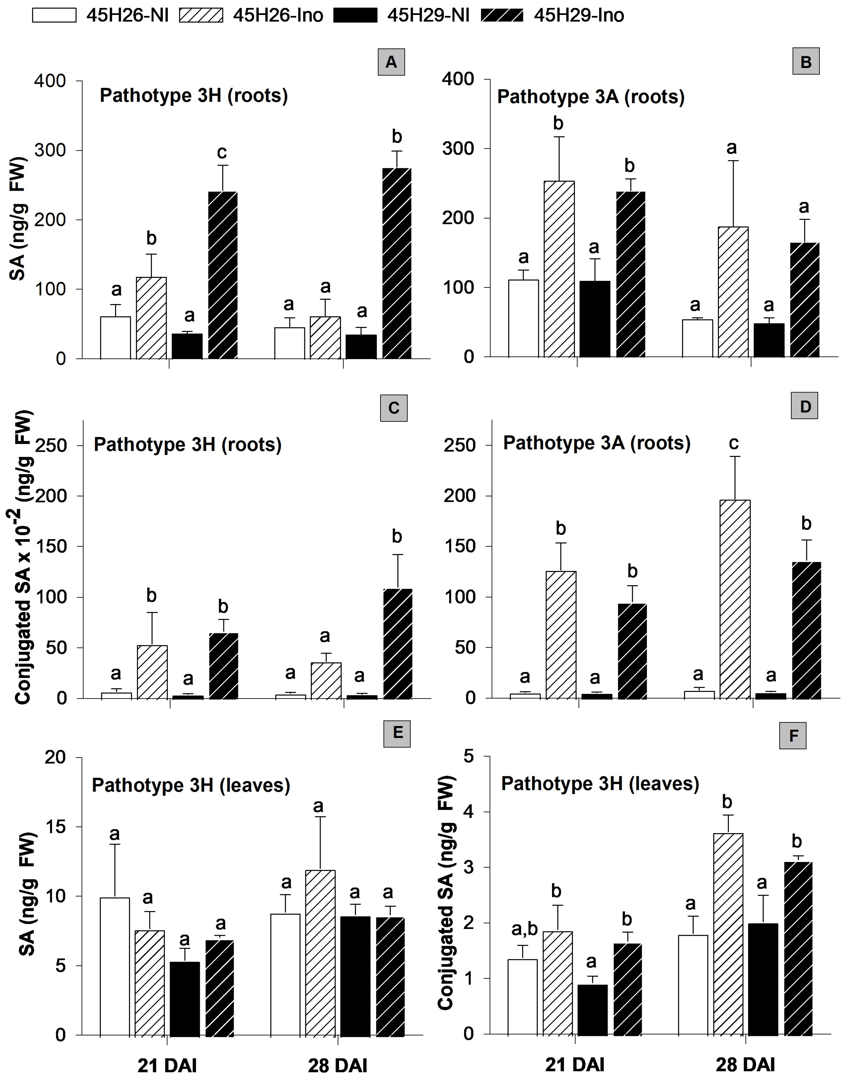 Plants 12 02899 g003