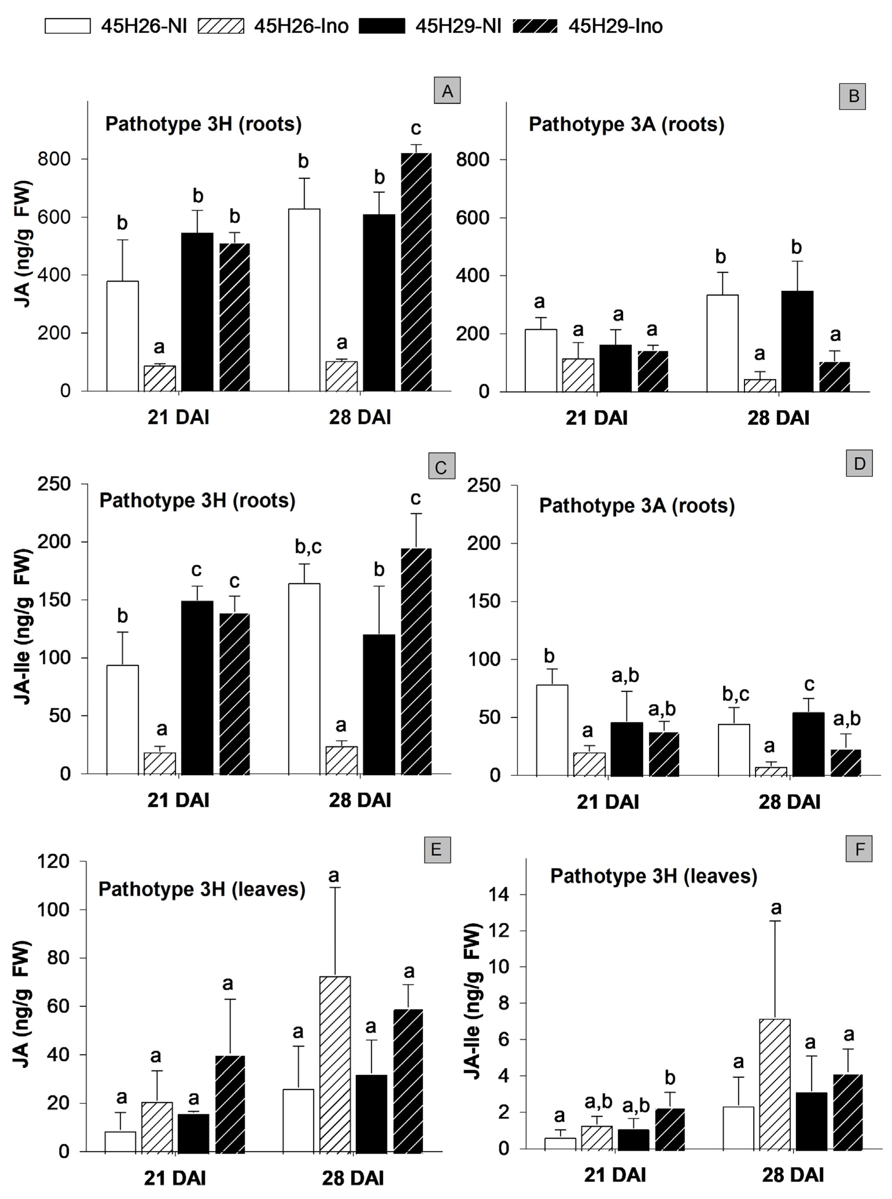 Plants 12 02899 g004