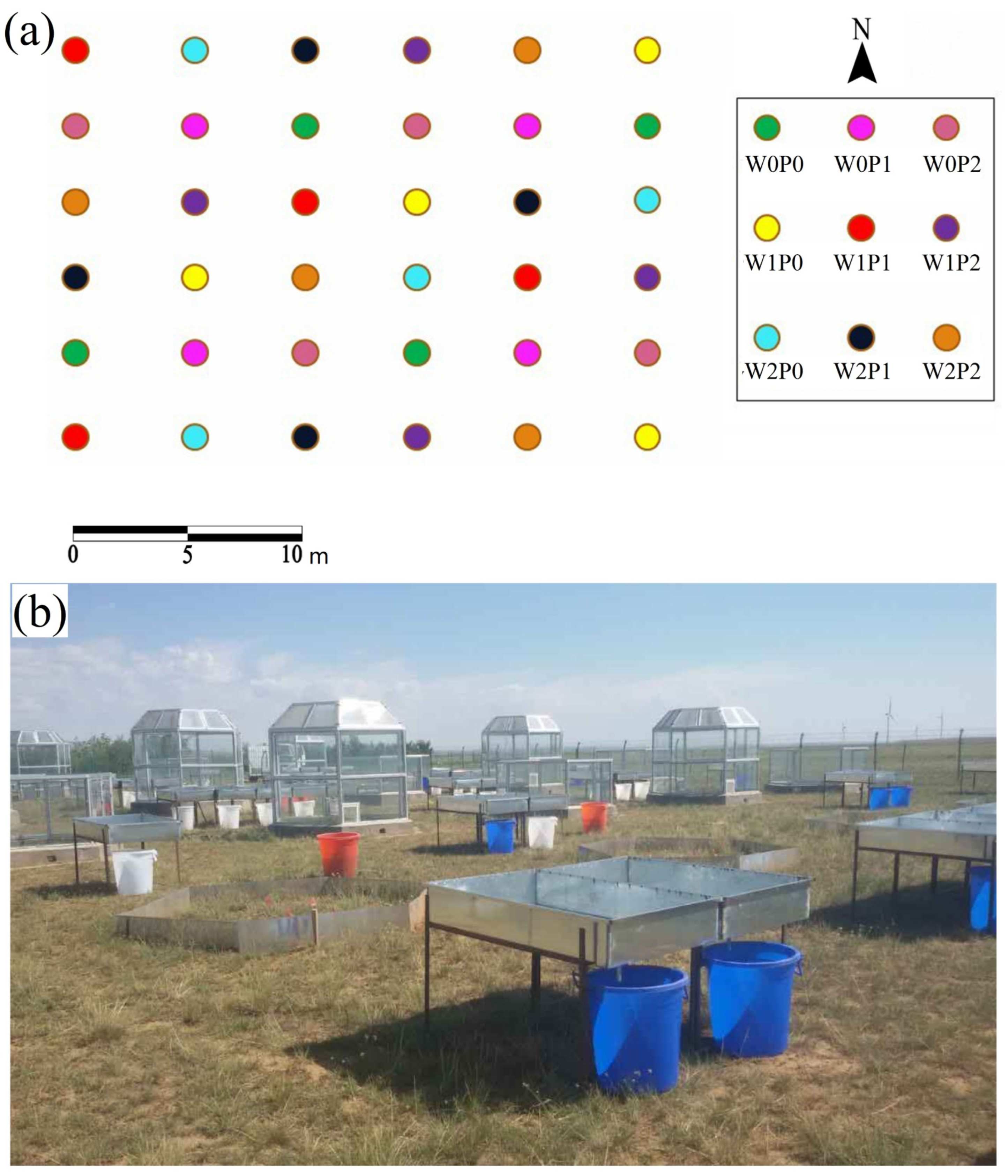 Plants 12 02903 g005