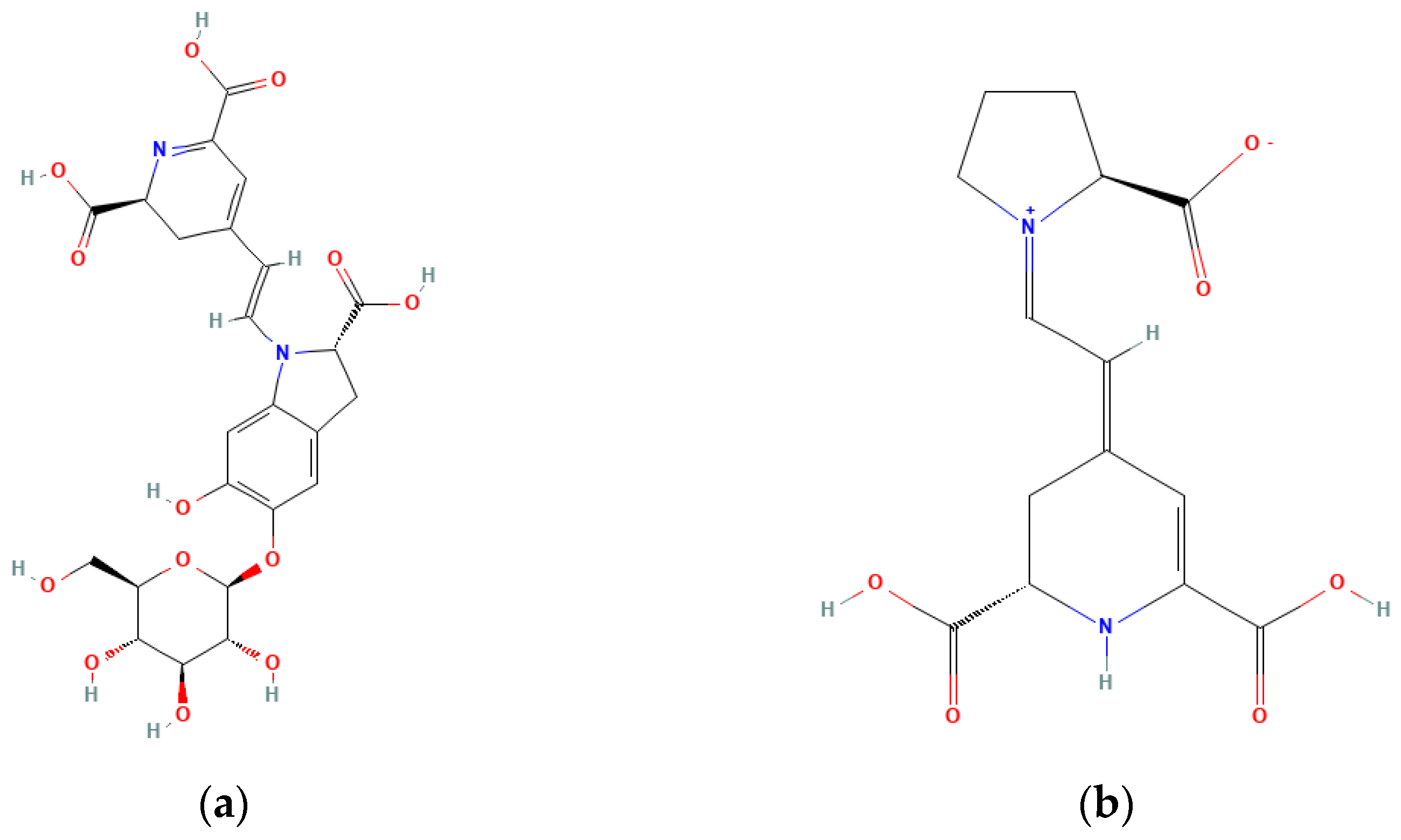 Plants 12 02907 g001