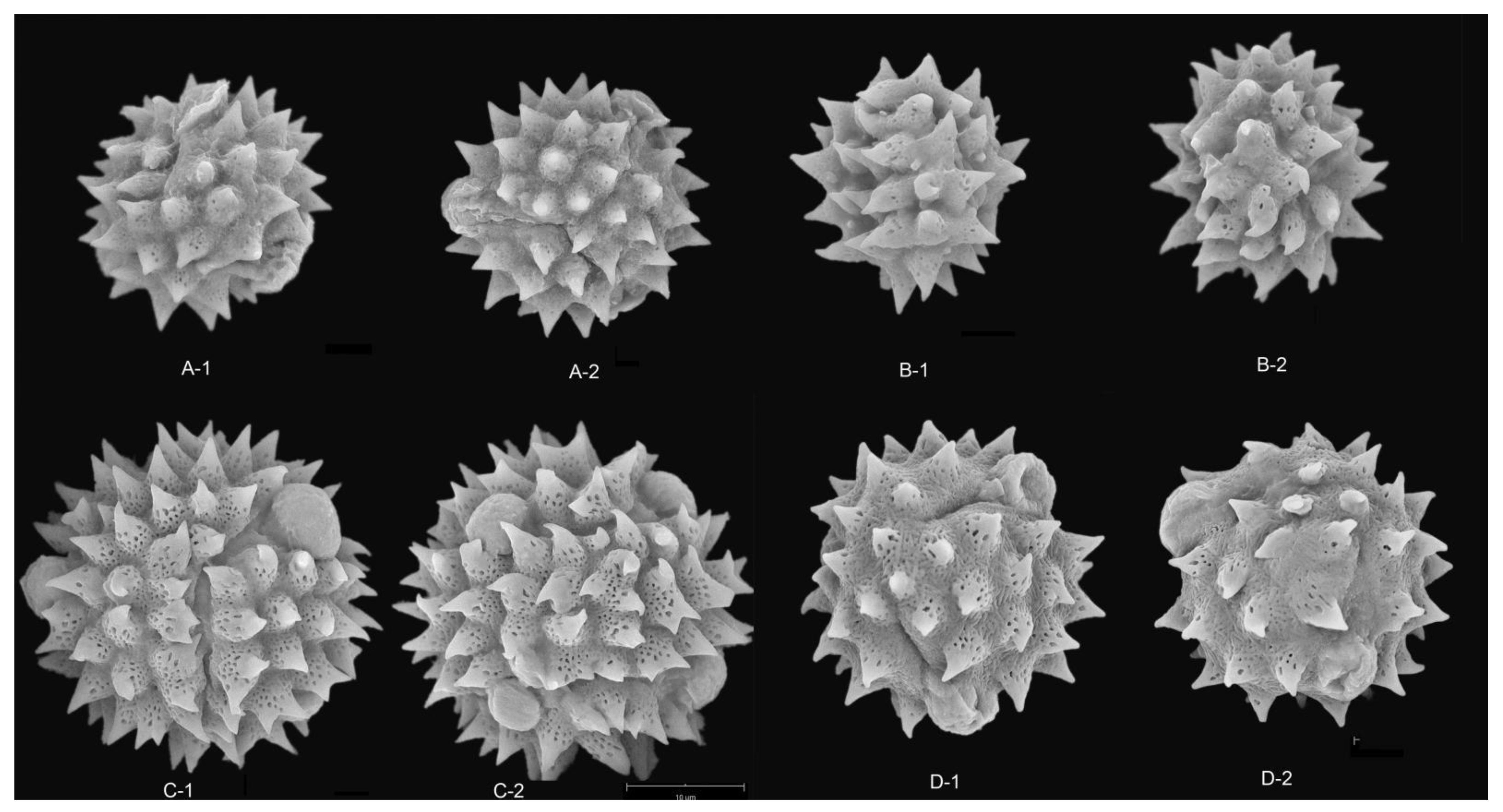 Plants 12 02909 g005 Plants 12 02909 g005