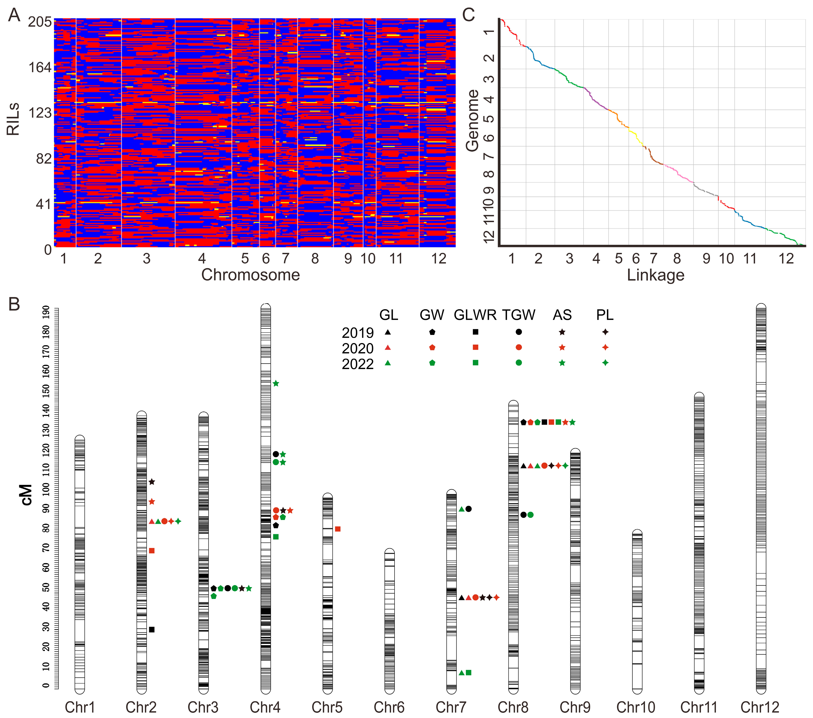 Construction of High Density Genetic - Plants 12 02911 G002