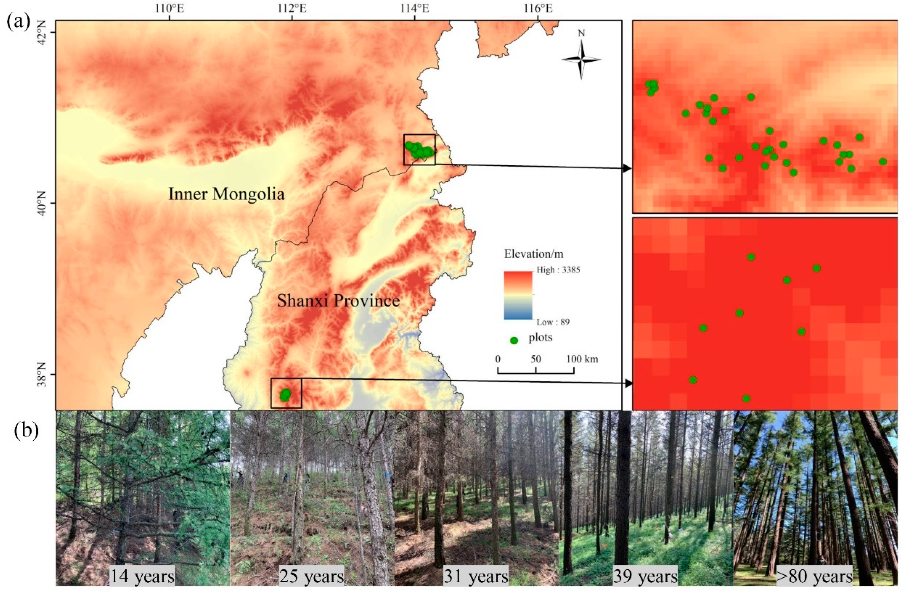 Plants 12 02913 g009 Plants 12 02913 g009