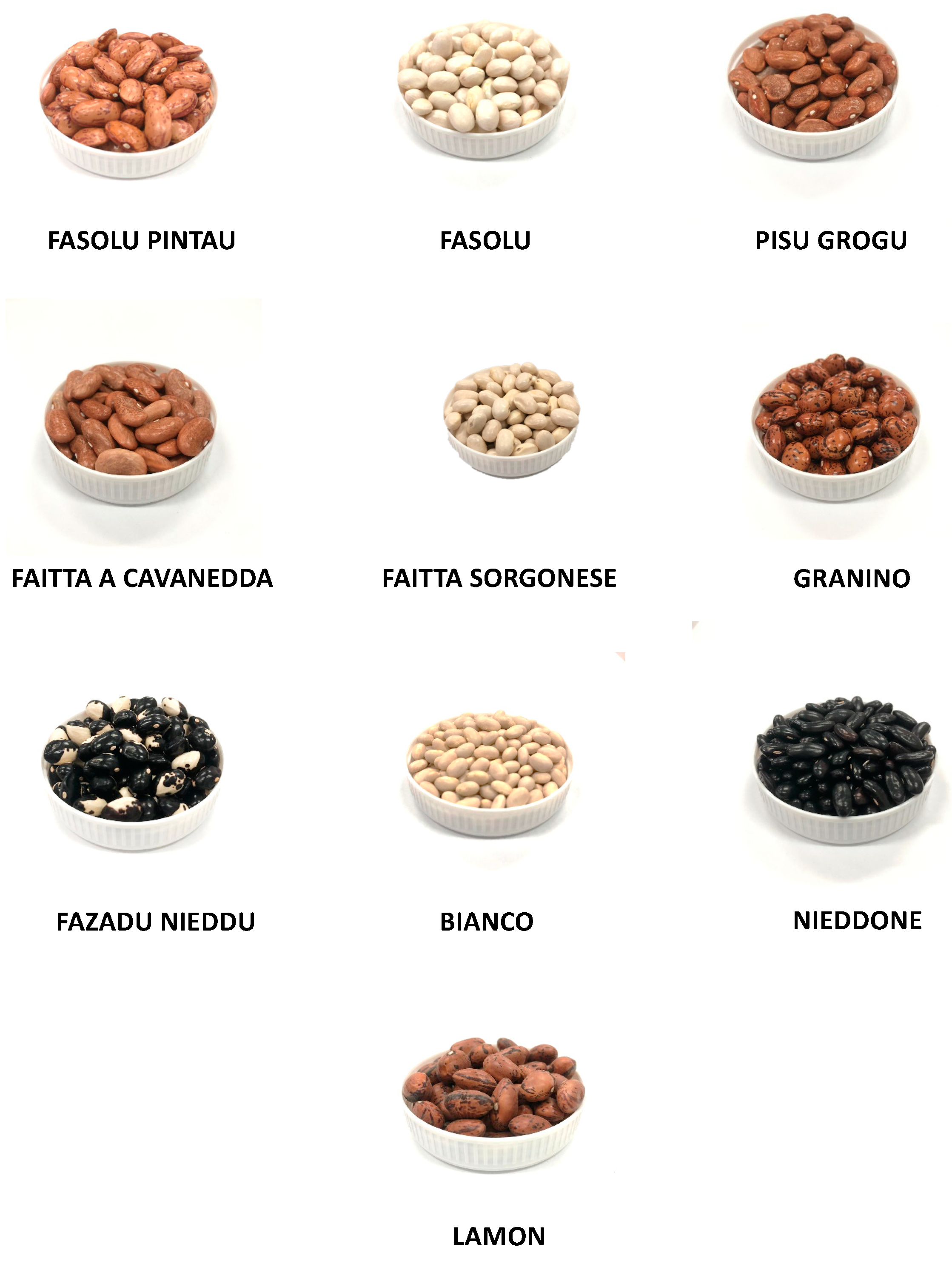 Plants 12 02918 g010