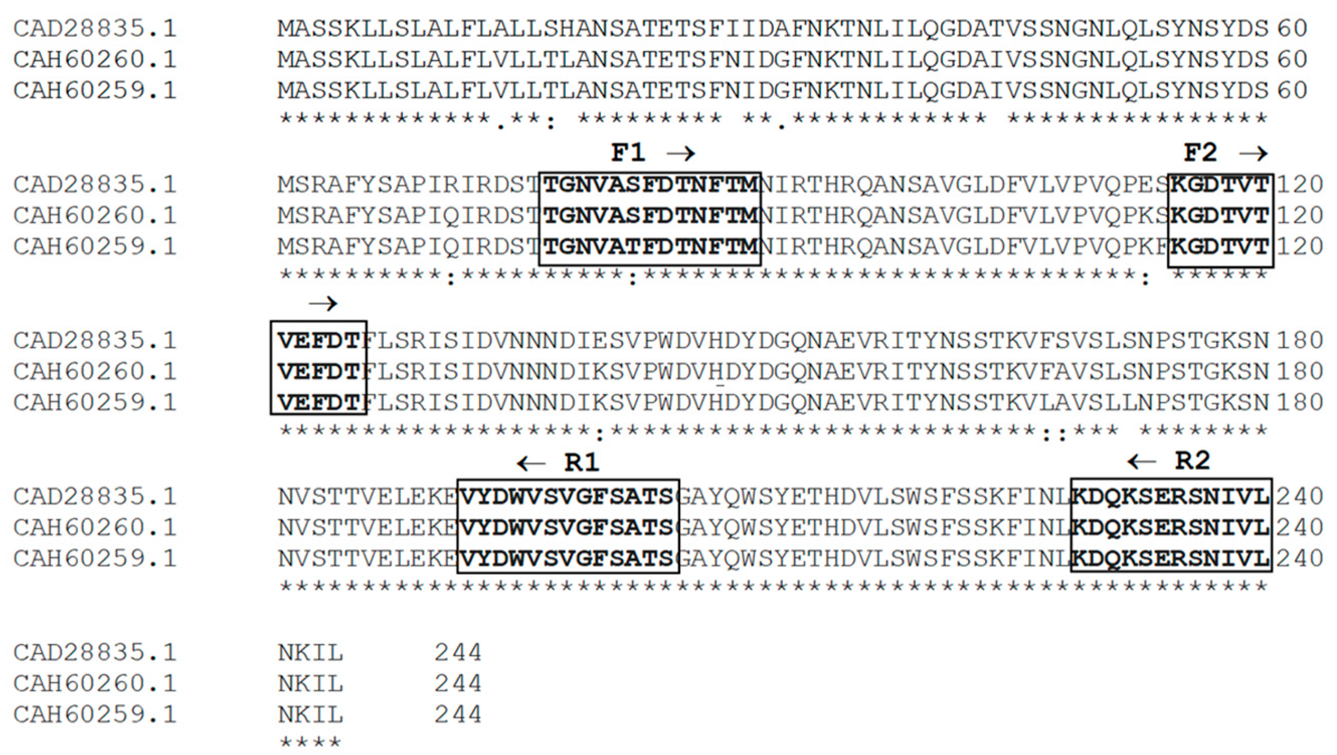 Plants 12 02918 g011