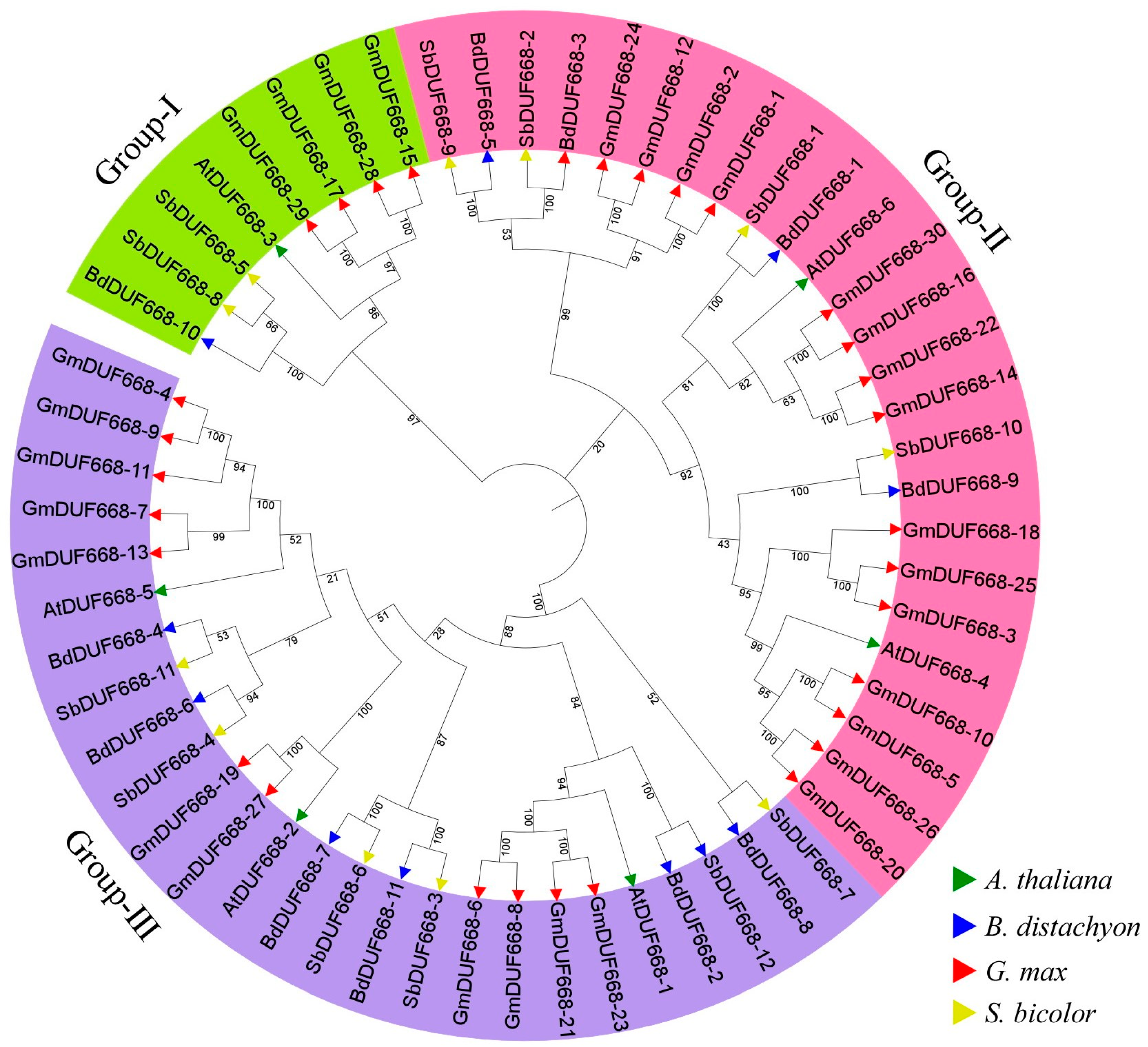 Plants 12 02923 g002