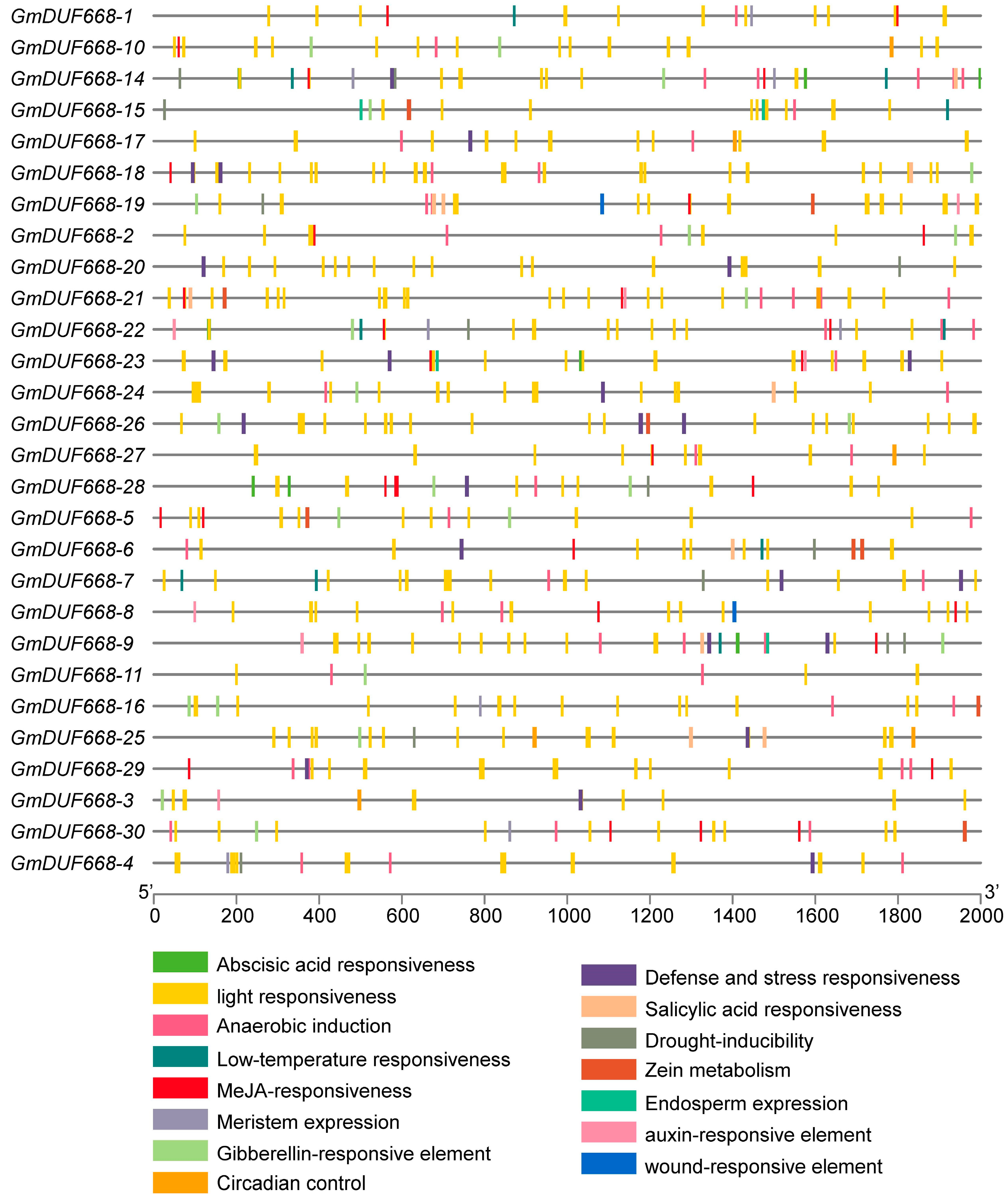 Plants 12 02923 g003