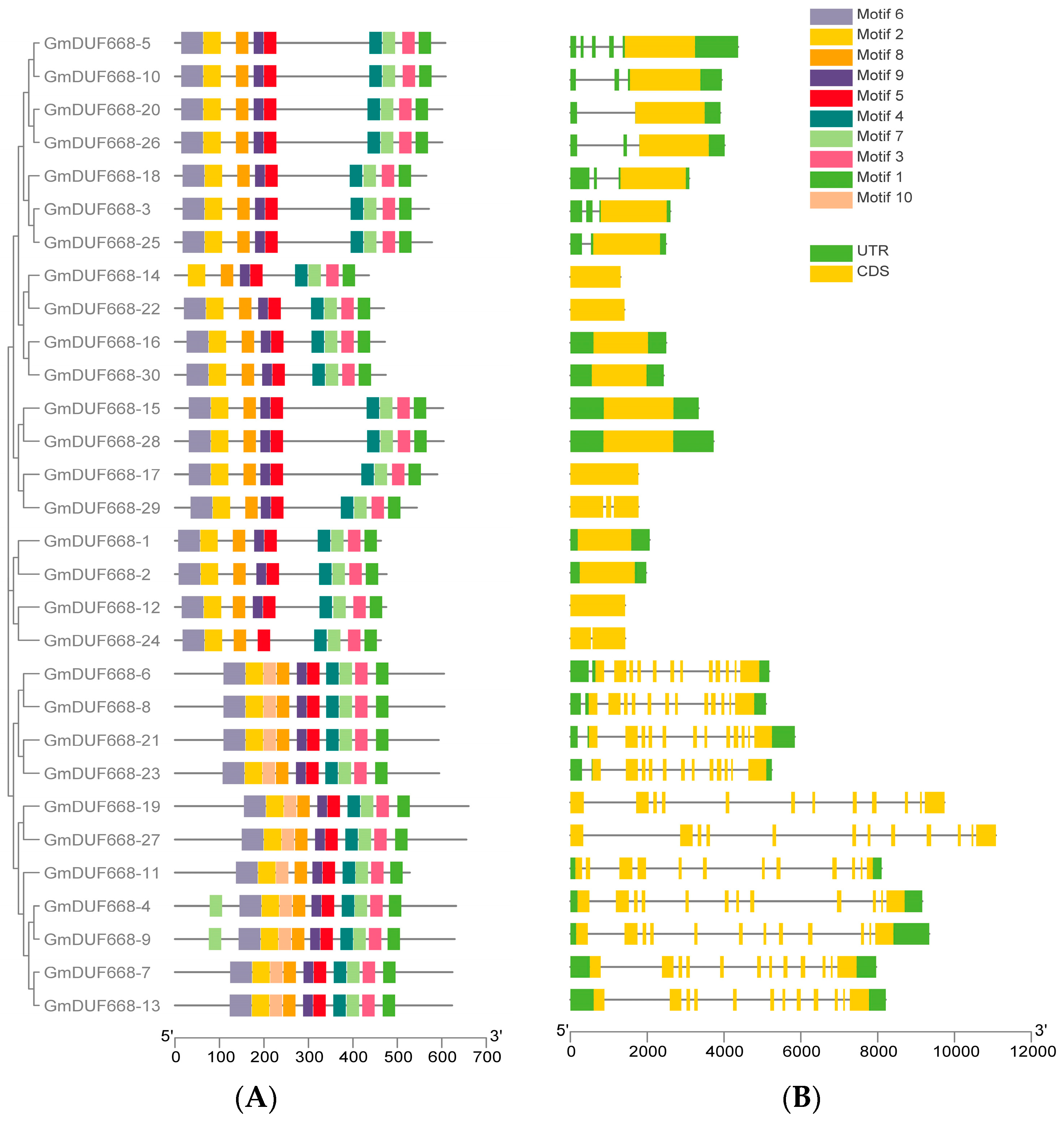 Plants 12 02923 g004
