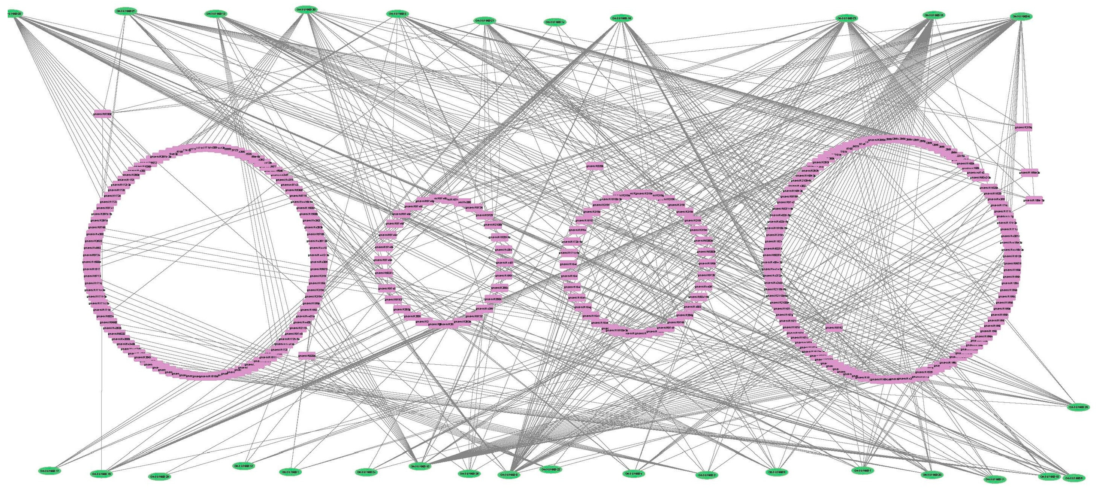 Plants 12 02923 g006