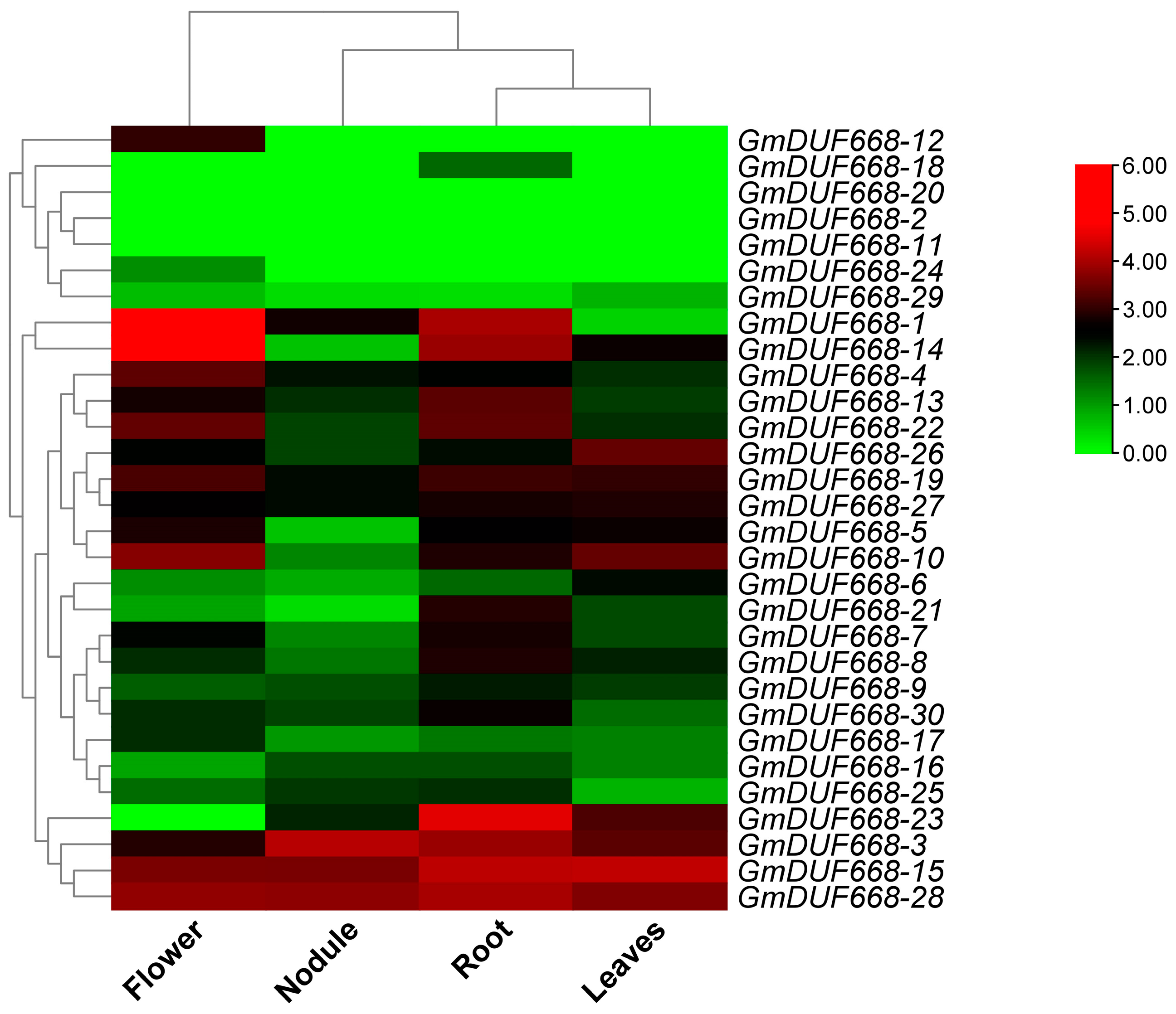 Plants 12 02923 g007