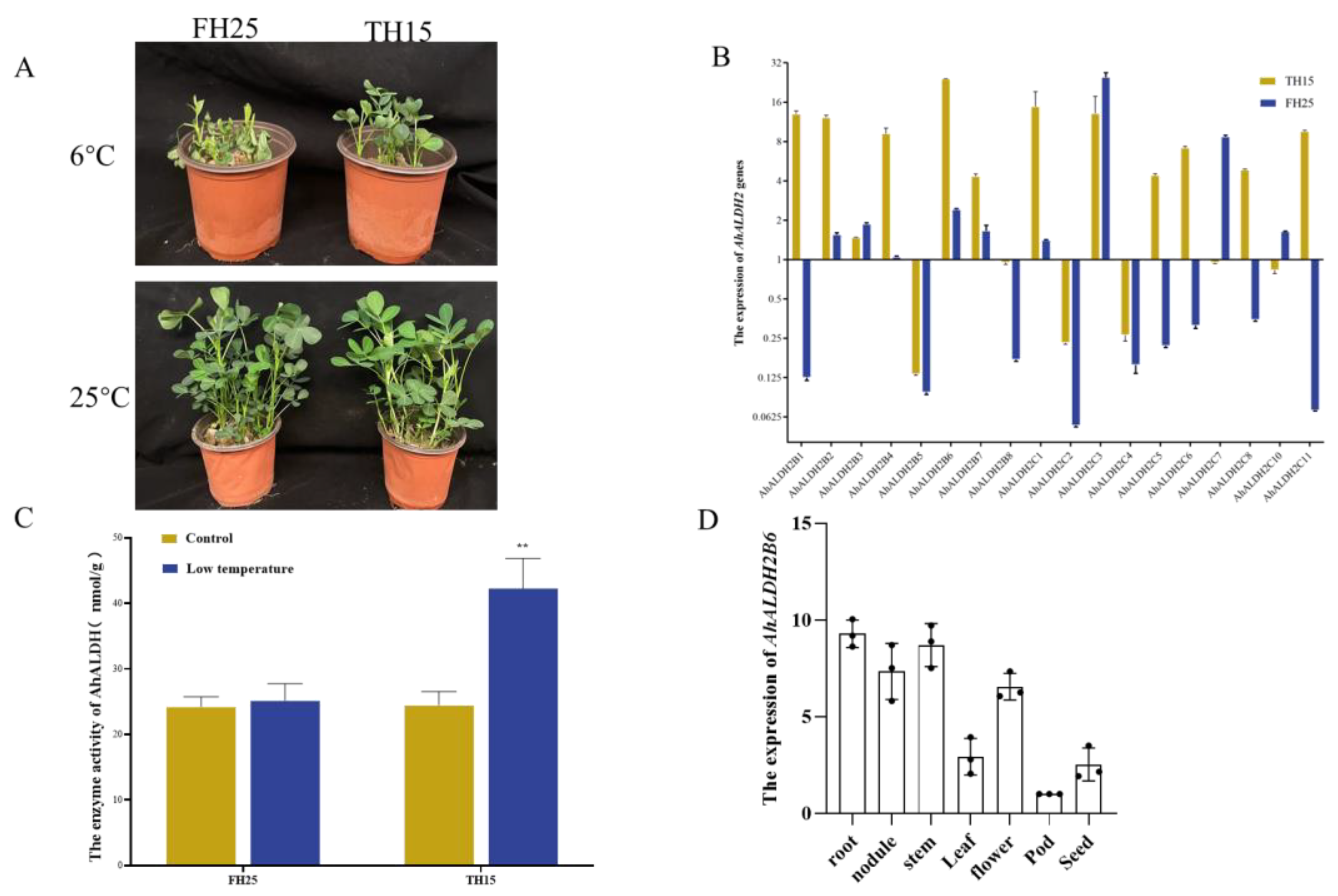 Plants 12 02928 g001 Plants 12 02928 g001