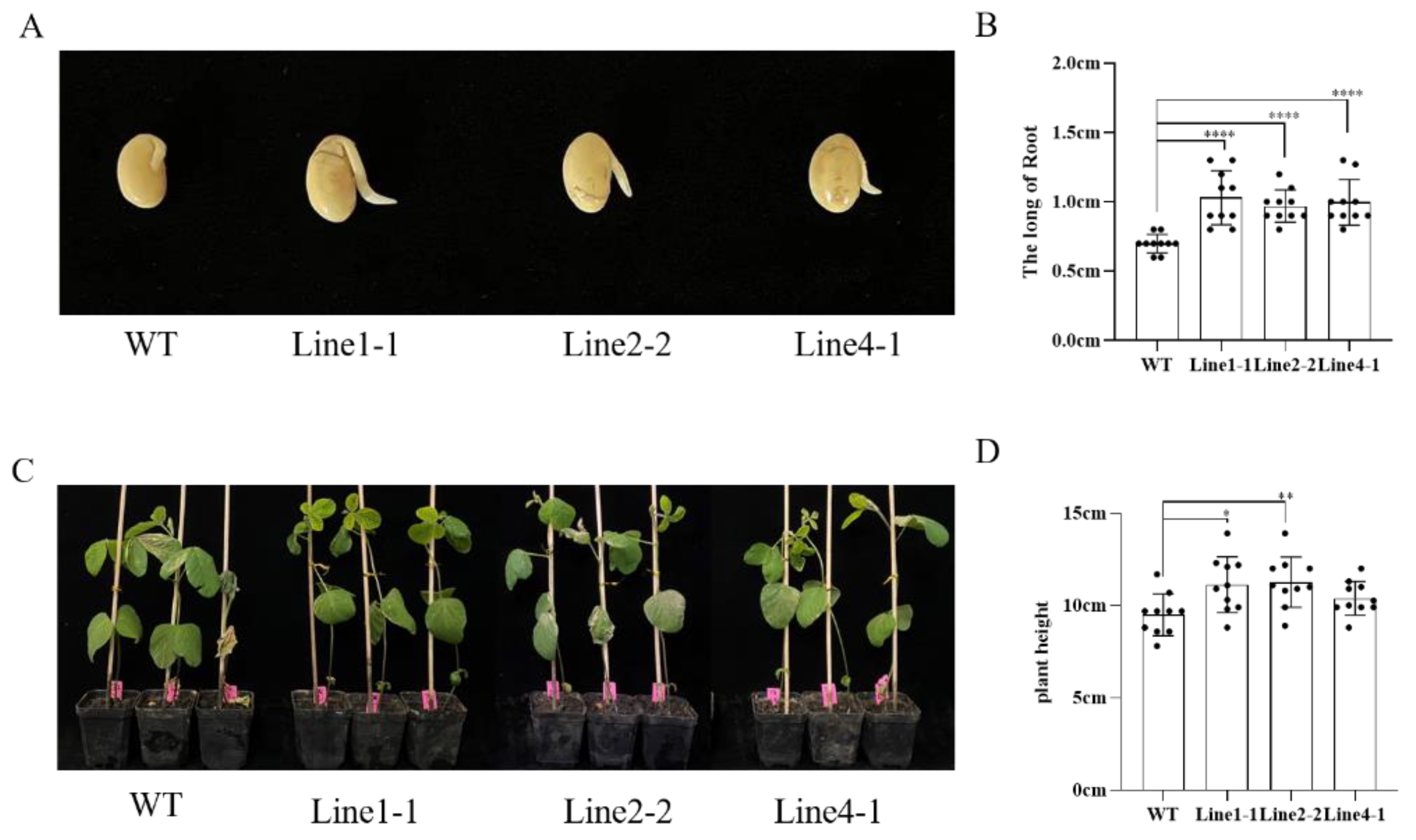 Plants 12 02928 g003 Plants 12 02928 g003