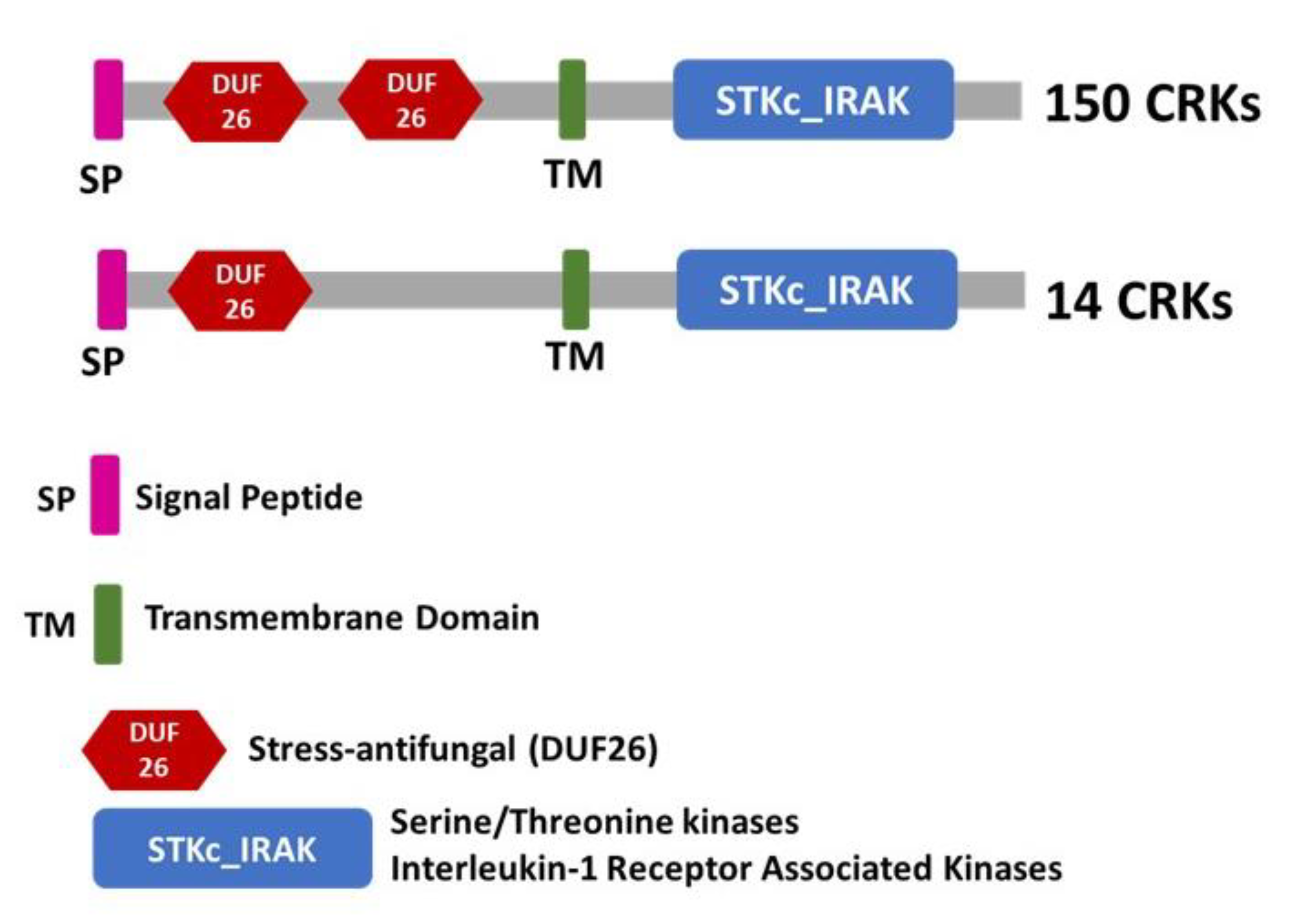 Plants 12 02932 g001 Plants 12 02932 g001