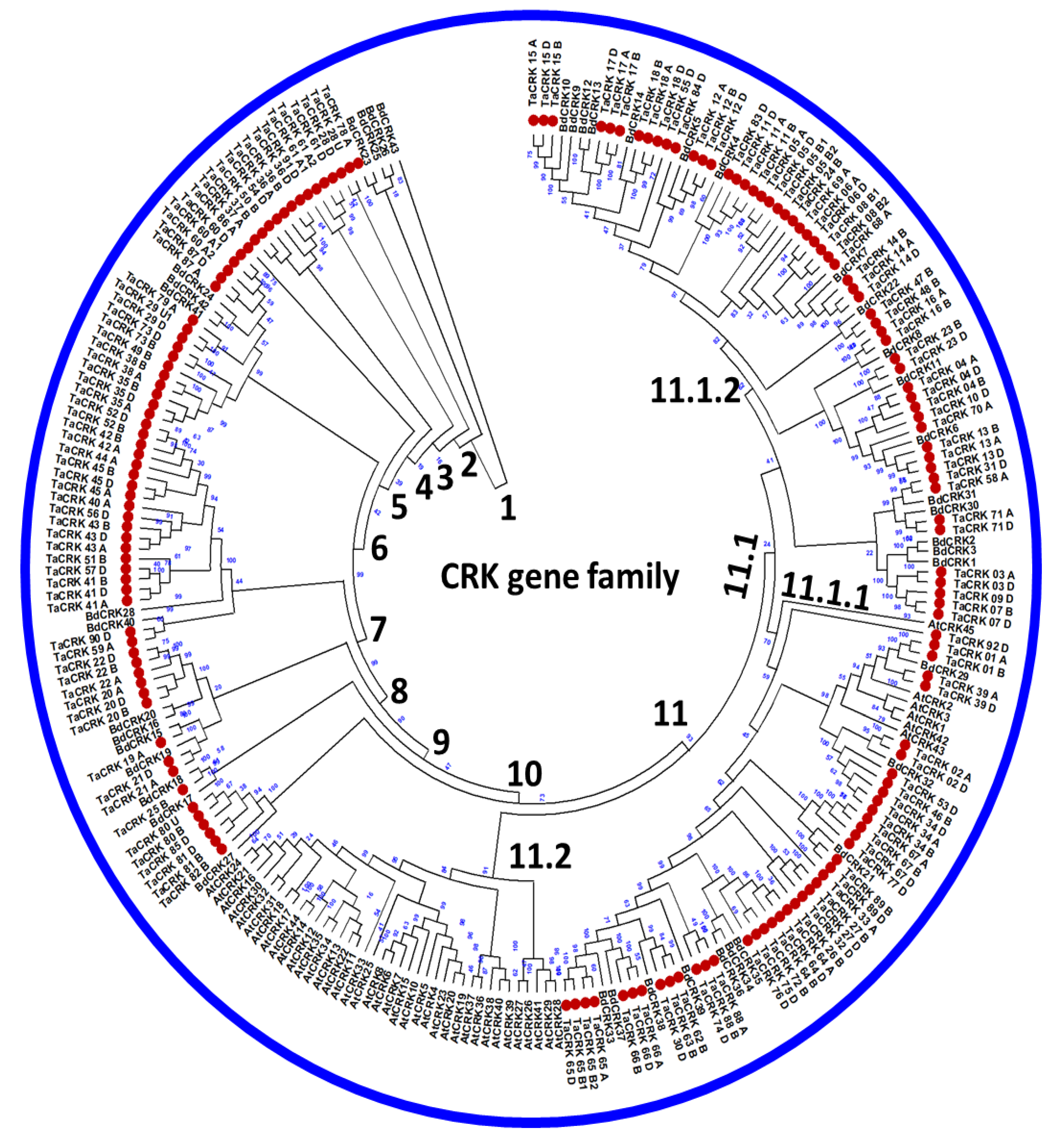 Plants 12 02932 g002 Plants 12 02932 g002