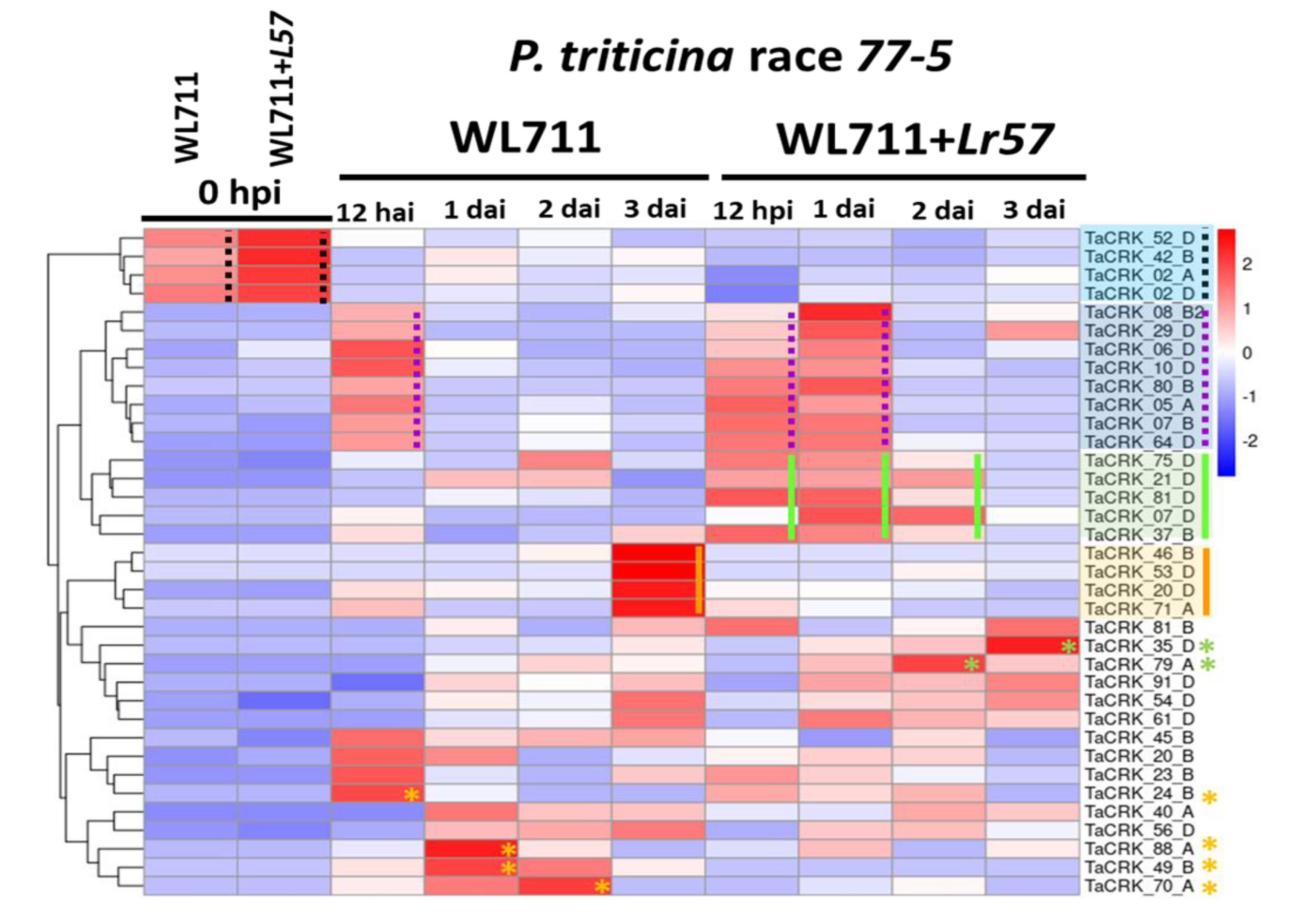Plants 12 02932 g004 Plants 12 02932 g004