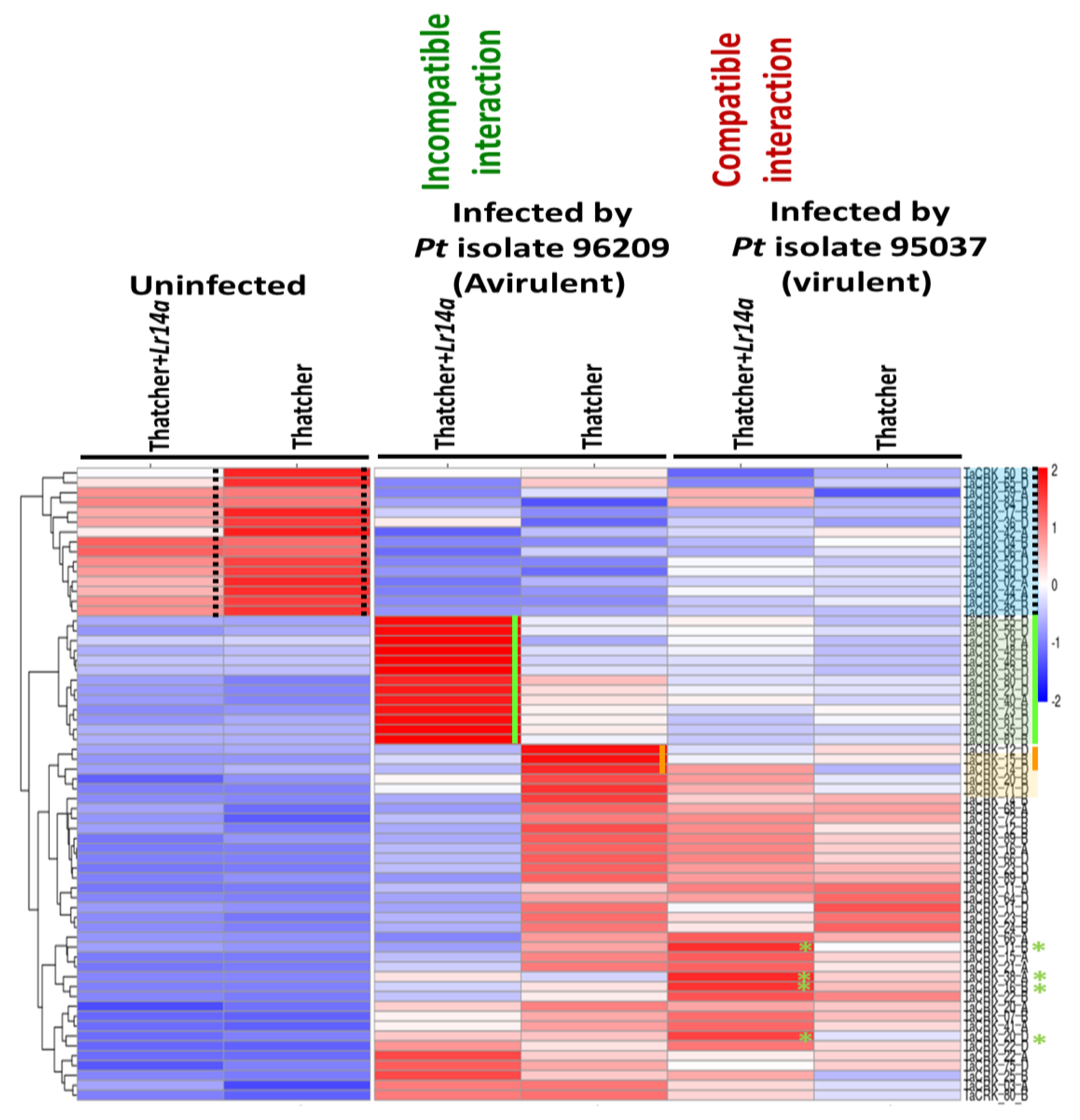 Plants 12 02932 g006 Plants 12 02932 g006