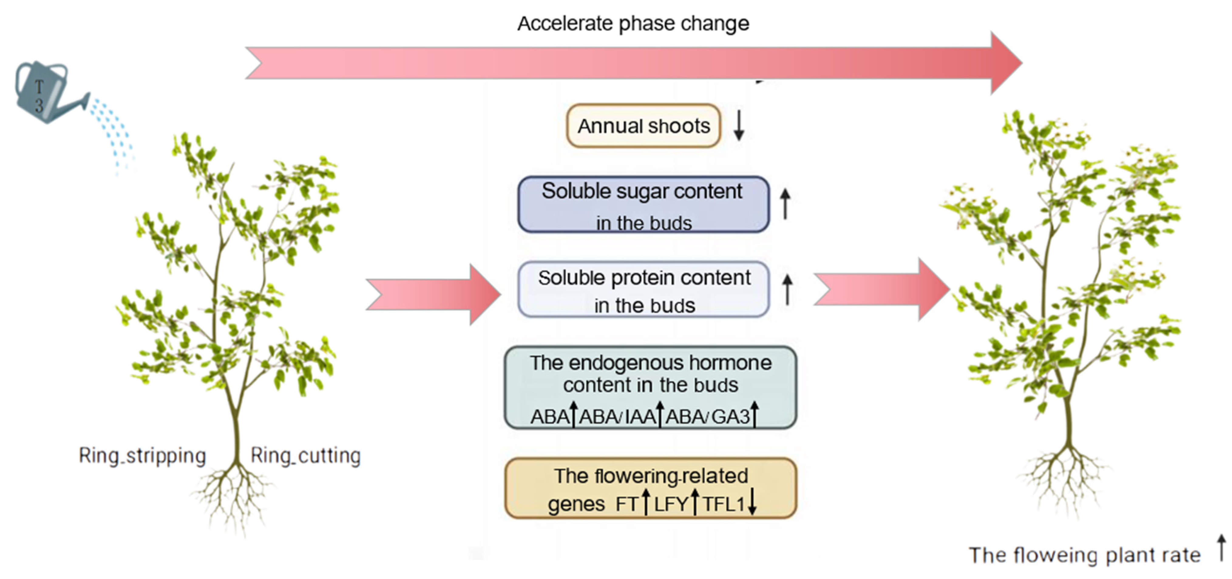Plants 12 02933 g011 Plants 12 02933 g011