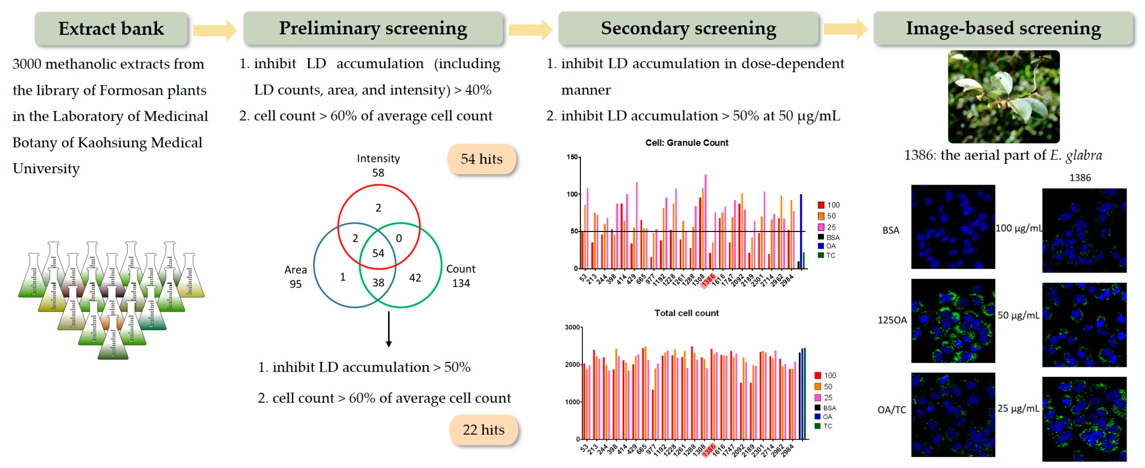Plants 12 02943 g001 Plants 12 02943 g001